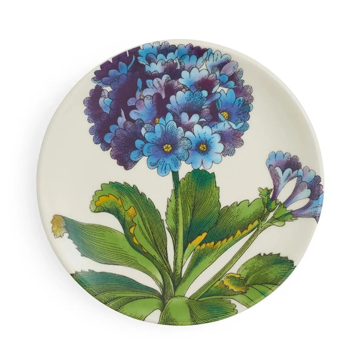 Portmeirion Dessertteller Portmeirion Keramik Vorlege-Teller Bloom Garden Primeln, ca. 15,5 D