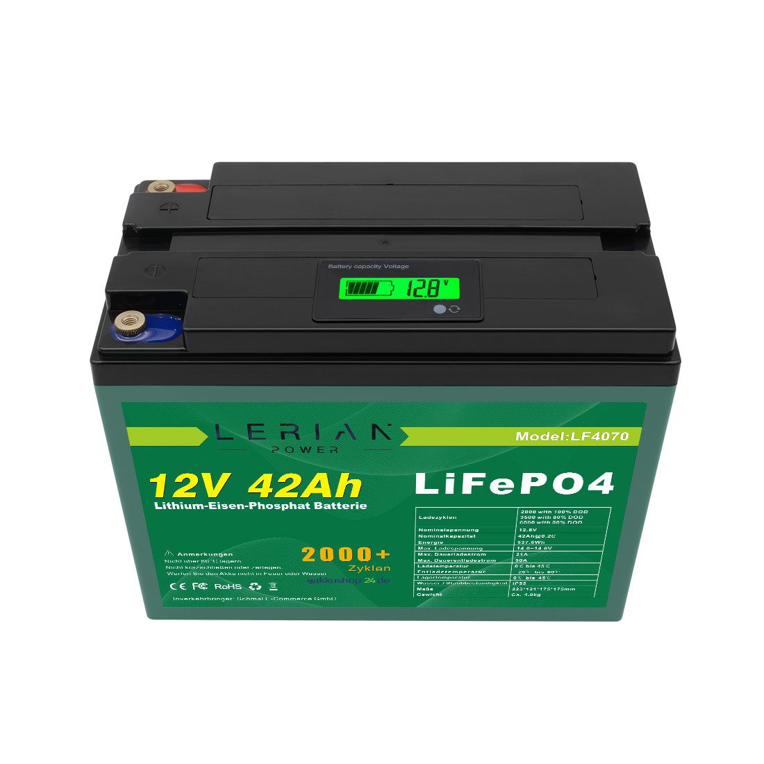 LERIAN POWER LiFePO4 Akku 12V 42Ah LFP Batterie für Camping Boot Solar Akku