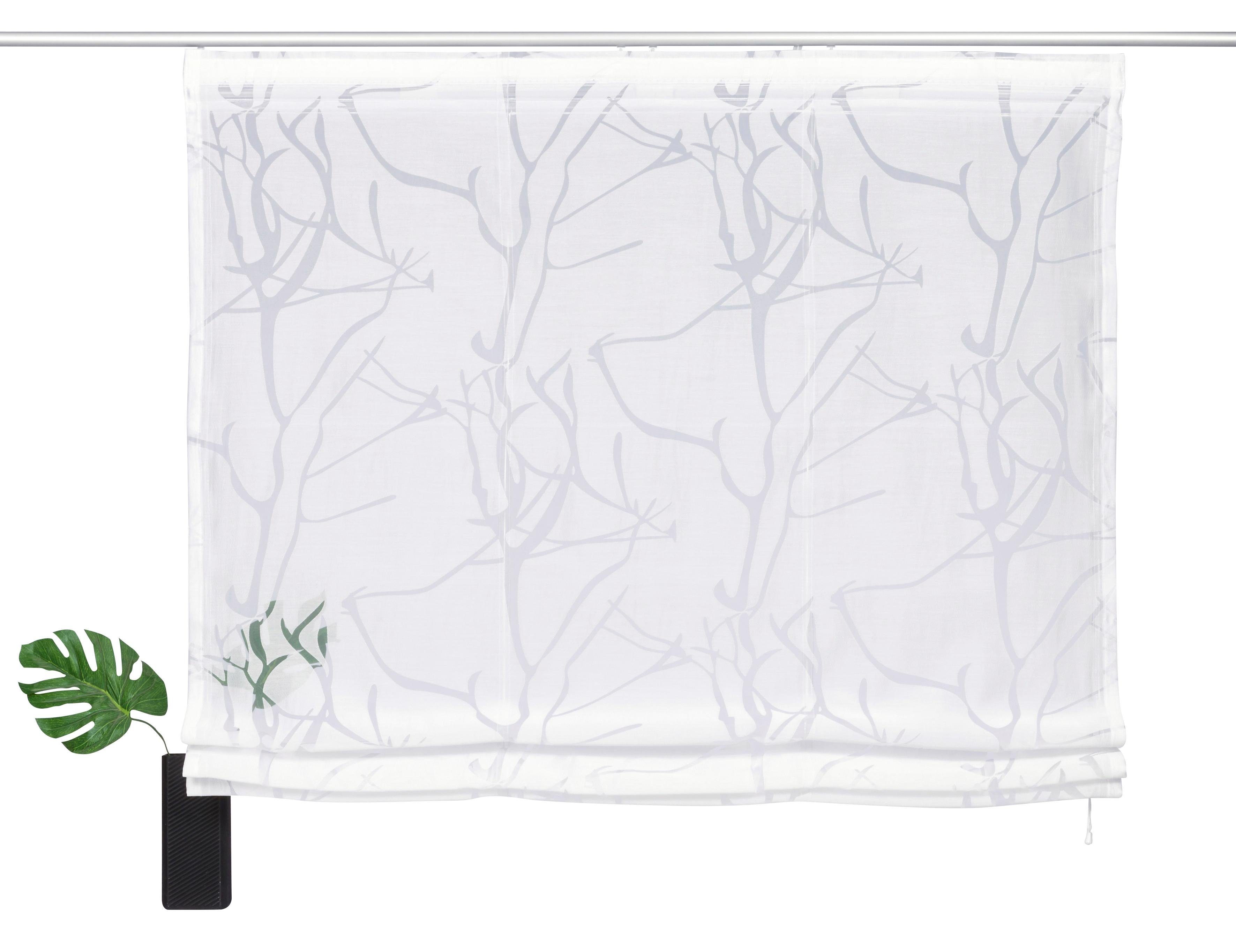 OTTO home Raffrollo Anna, mit Klettband, Halbtransparent, Ausbrenner, Viskose