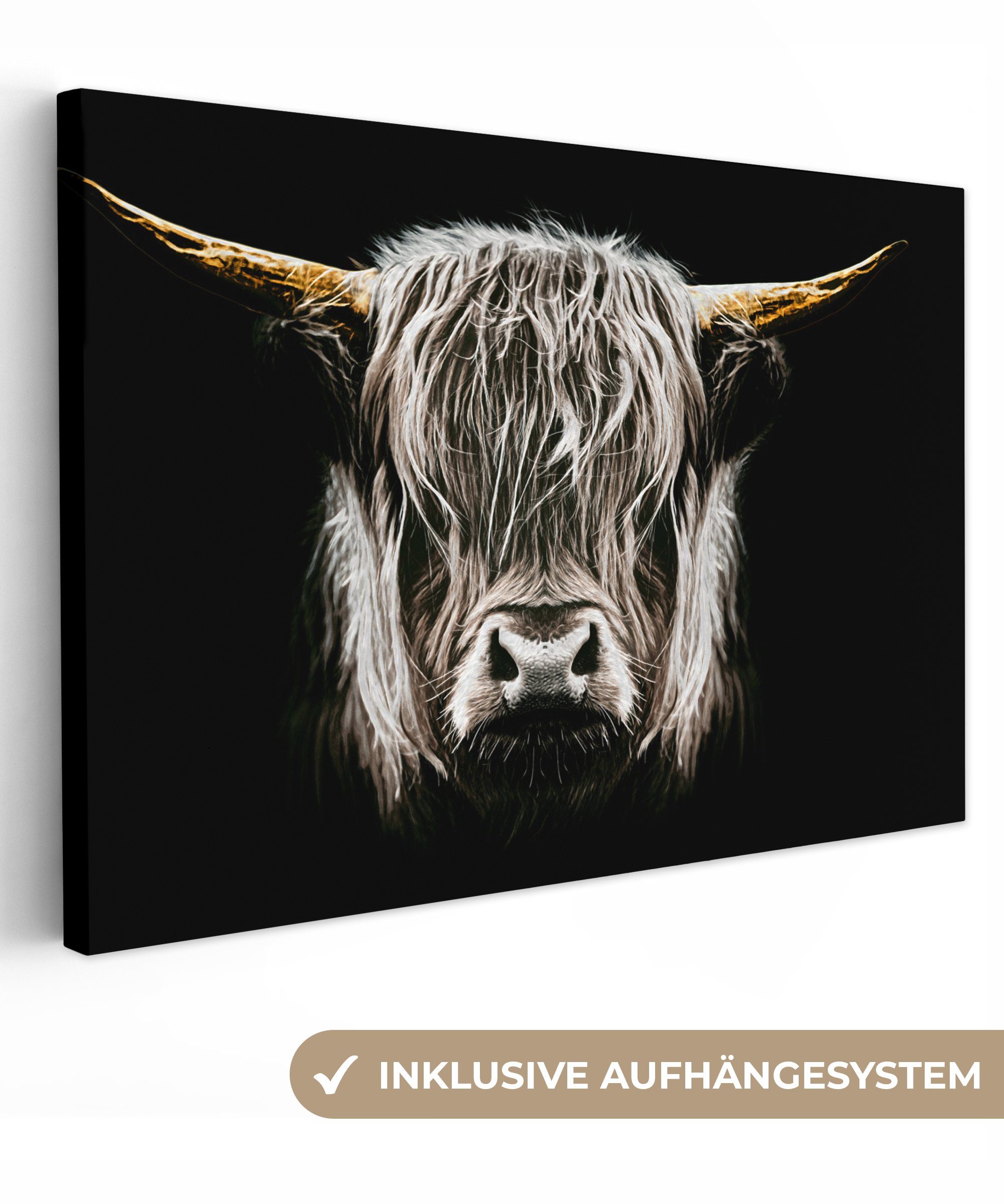 OneMillionCanvasses® Leinwandbild Schottischer Highlander - Gold - Hörner - günstig online kaufen