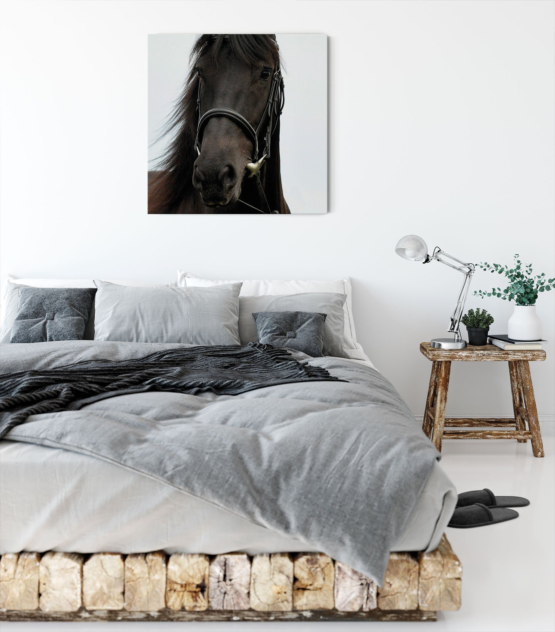 braunes bespannt, inkl. braunes St), (1 Leinwandbild Pferd Pixxprint Zackenaufhänger Leinwandbild Pferd, fertig