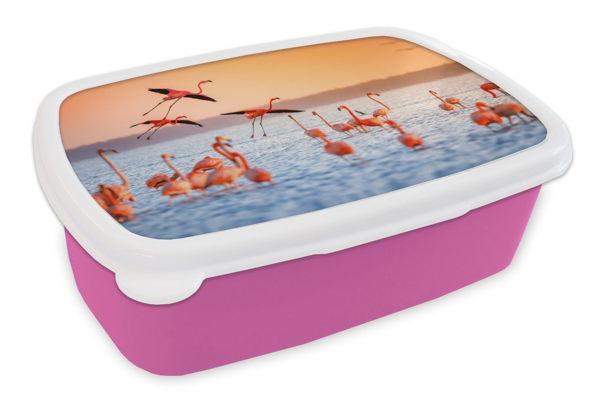 (2-tlg), - Sonnenuntergang Wasser Flamingo Mädchen, Kunststoff für - Lunchbox Brotdose Kunststoff, Snackbox, Brotbox Vogel Kinder, Rosa, - Erwachsene, MuchoWow -