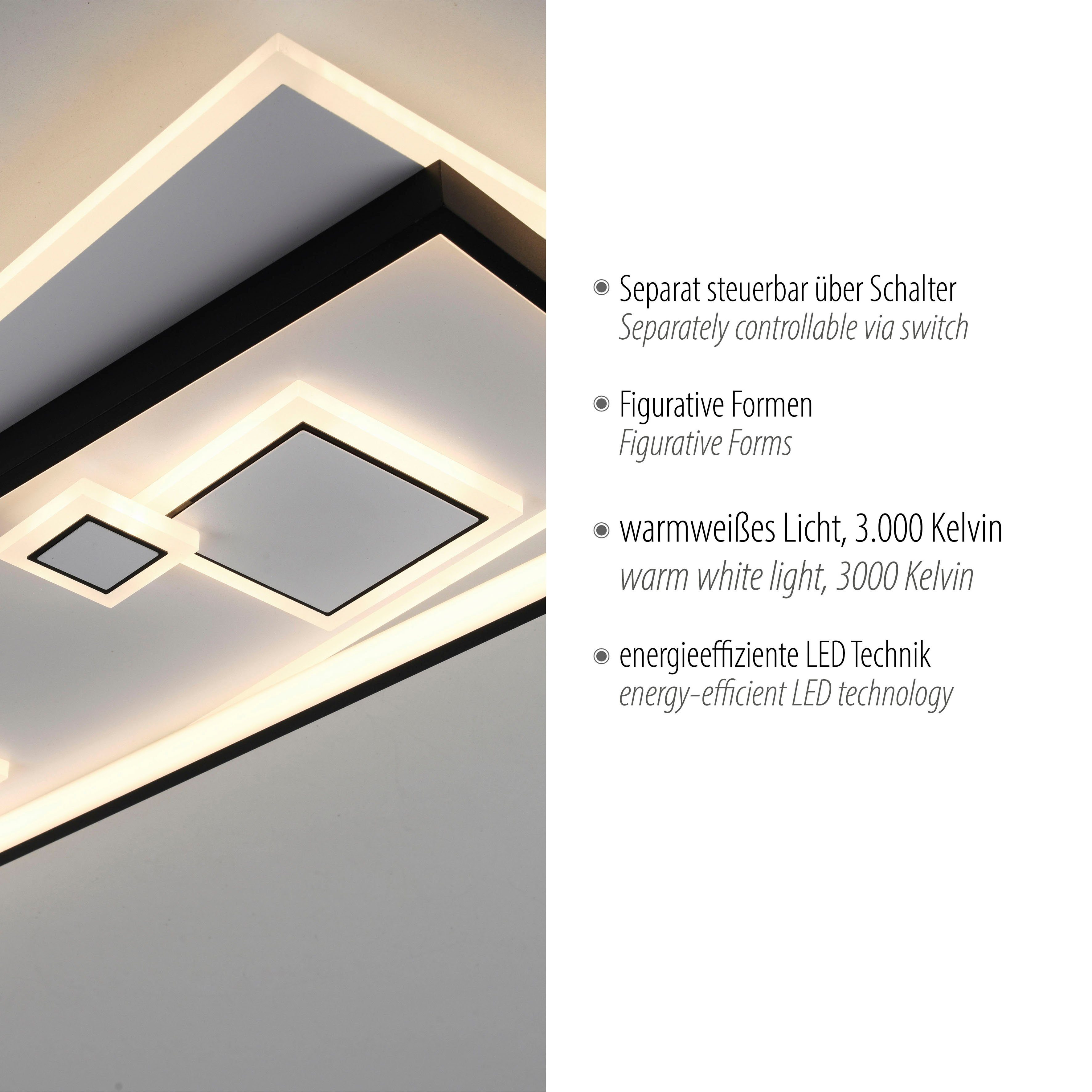 Deckenleuchte LED, integriert, (Schalter) fest steuerbar separat Warmweiß, LED schaltbar, Paul Neuhaus MAILAK, getrennt