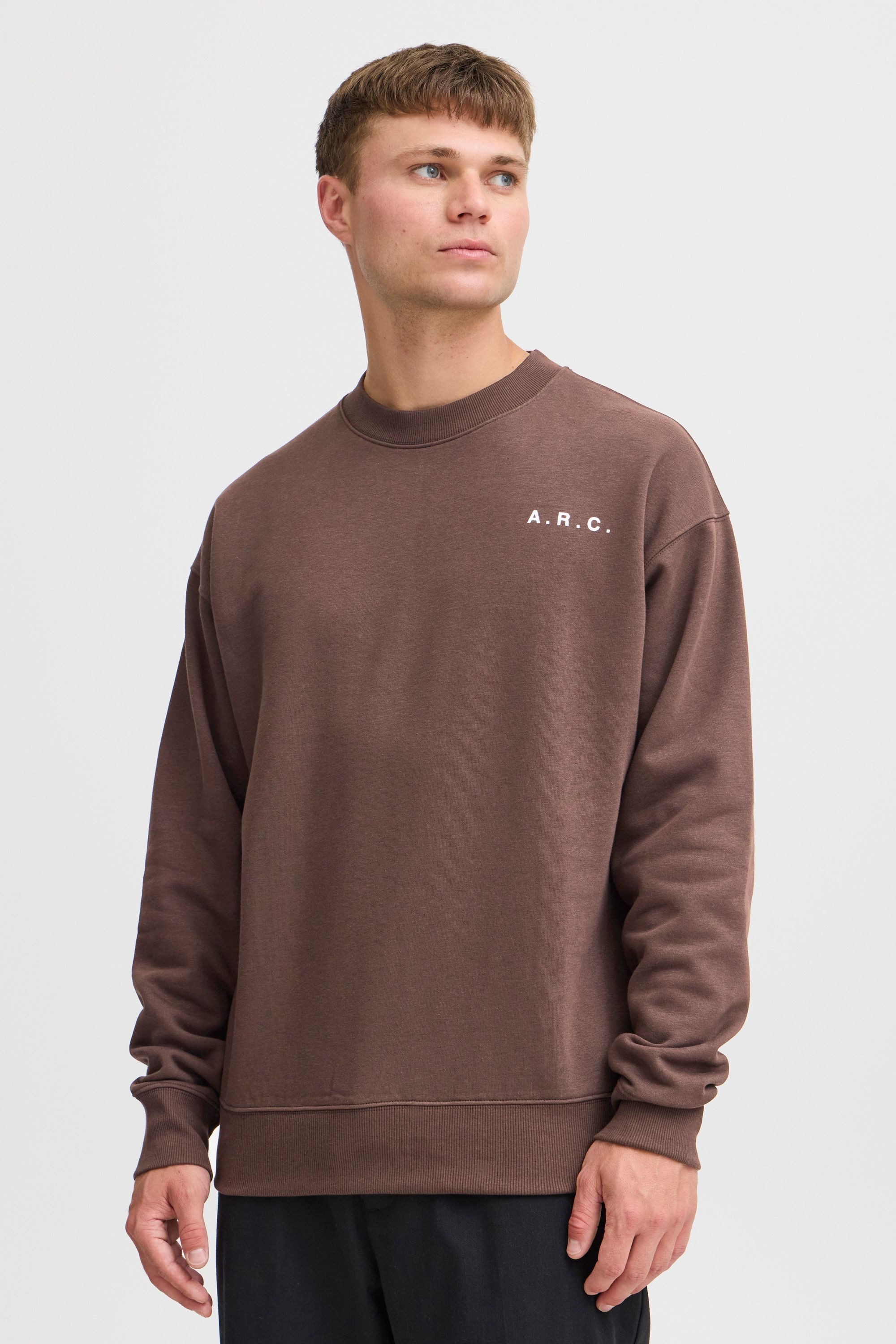 Sweatshirt SDHannes