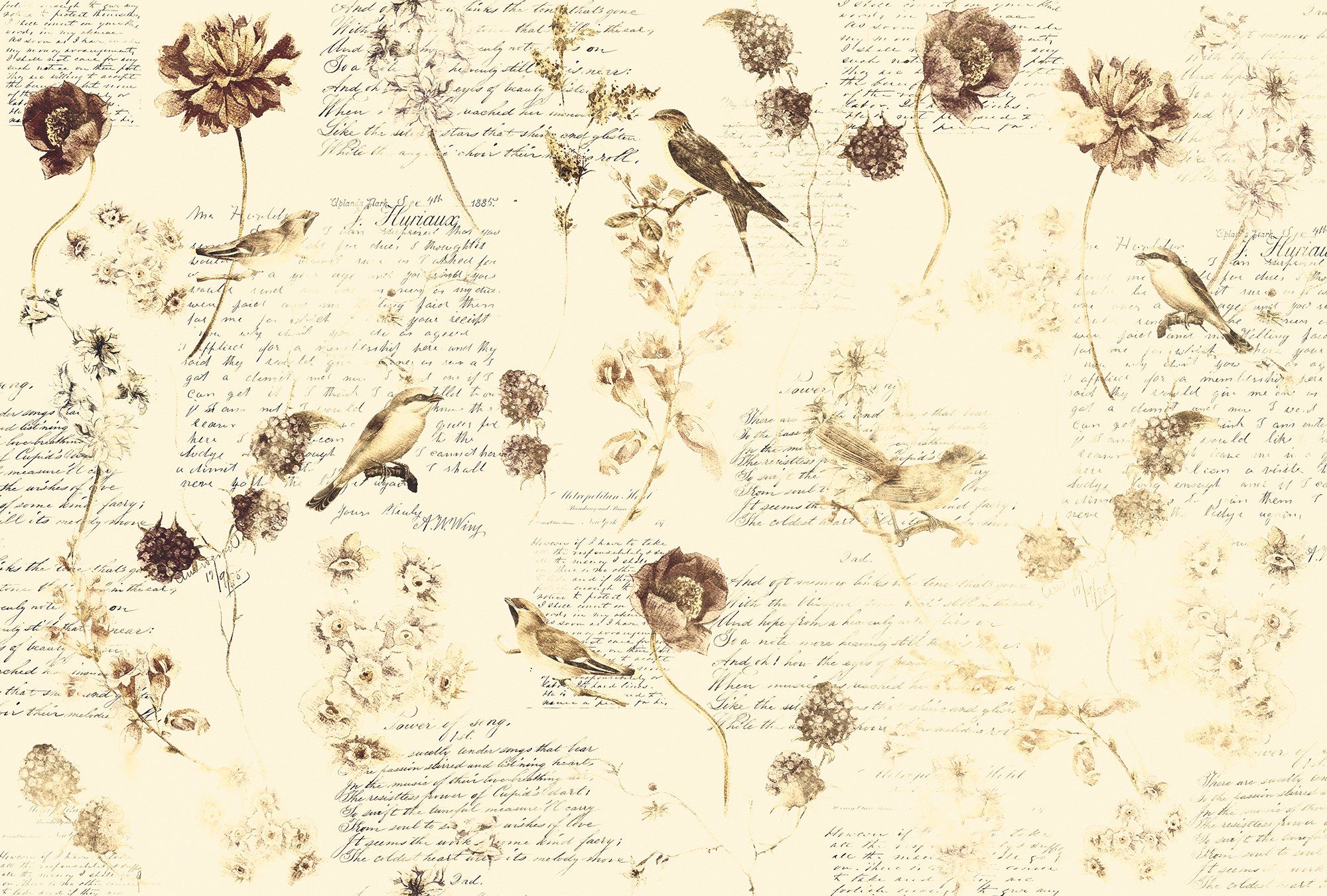Architects Paper Fototapete Atelier 47 Bird Poetry 1, glatt, floral, (4 St), Vlies, Wand, Schräge, Decke