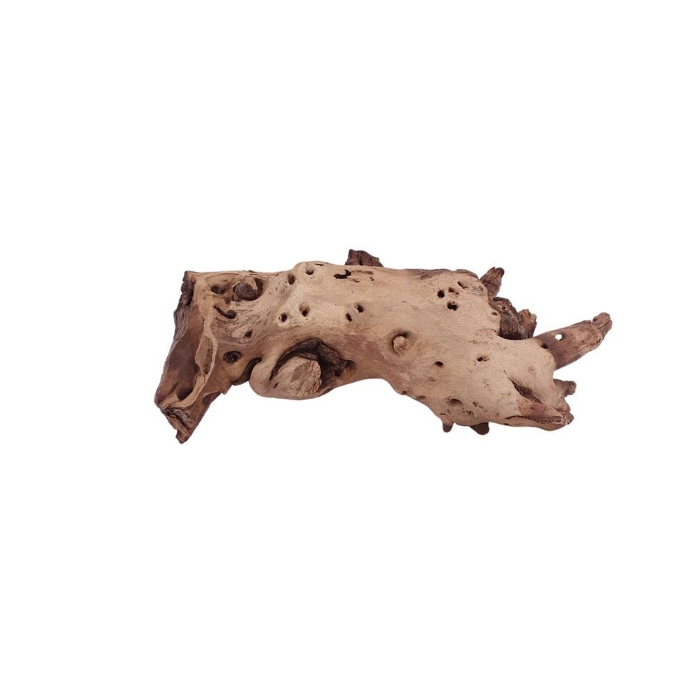 Aquarium L Mopani Wurzel Nr.1207 Holz Deko Aquascaping