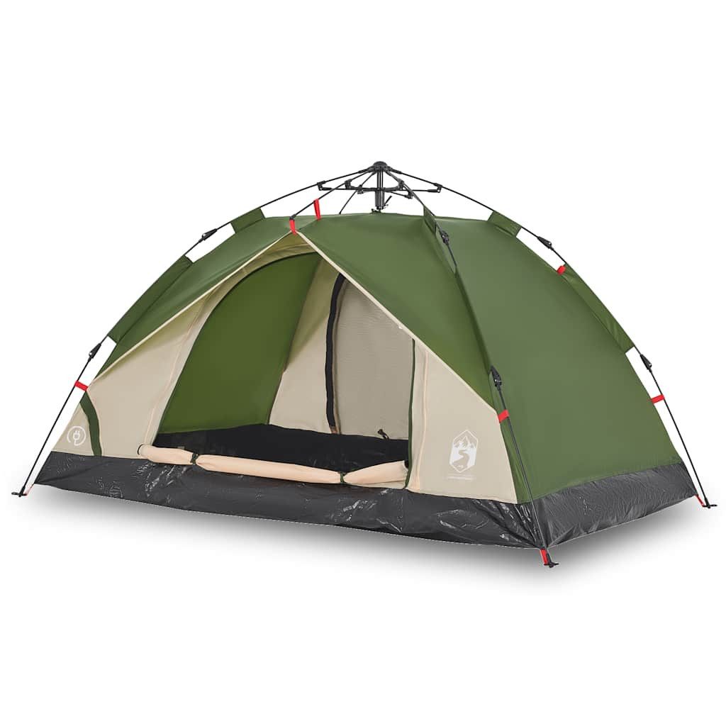 vidaXL Kuppelzelt Kuppel-Campingzelt 2 Personen Grün günstig online kaufen
