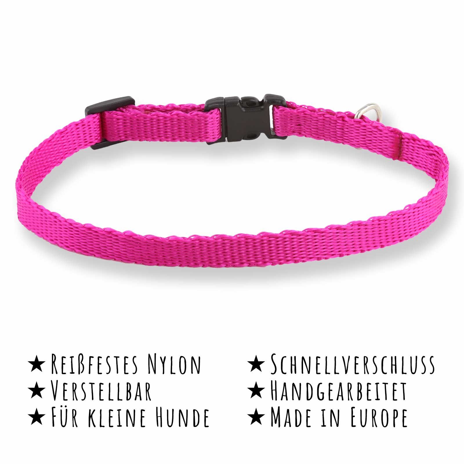 Monkimau Hunde-Halsband Hundehalsband aus Nylon, Nylon, verstellbar