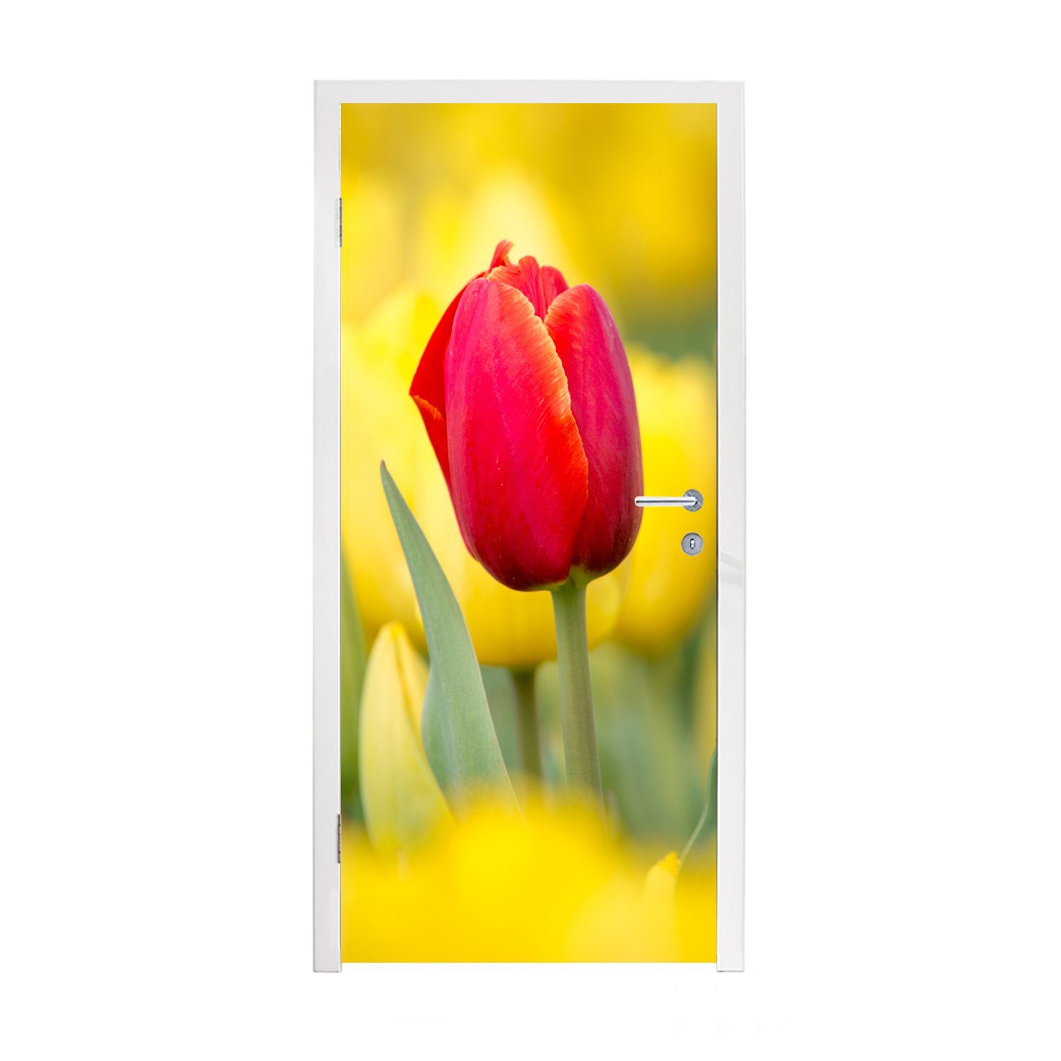 MuchoWow Türtapete Rote Tulpe mit gelben Tulpen, Matt, bedruckt, (1 St), Fototapete für Tür, Türaufkleber, 75x205 cm