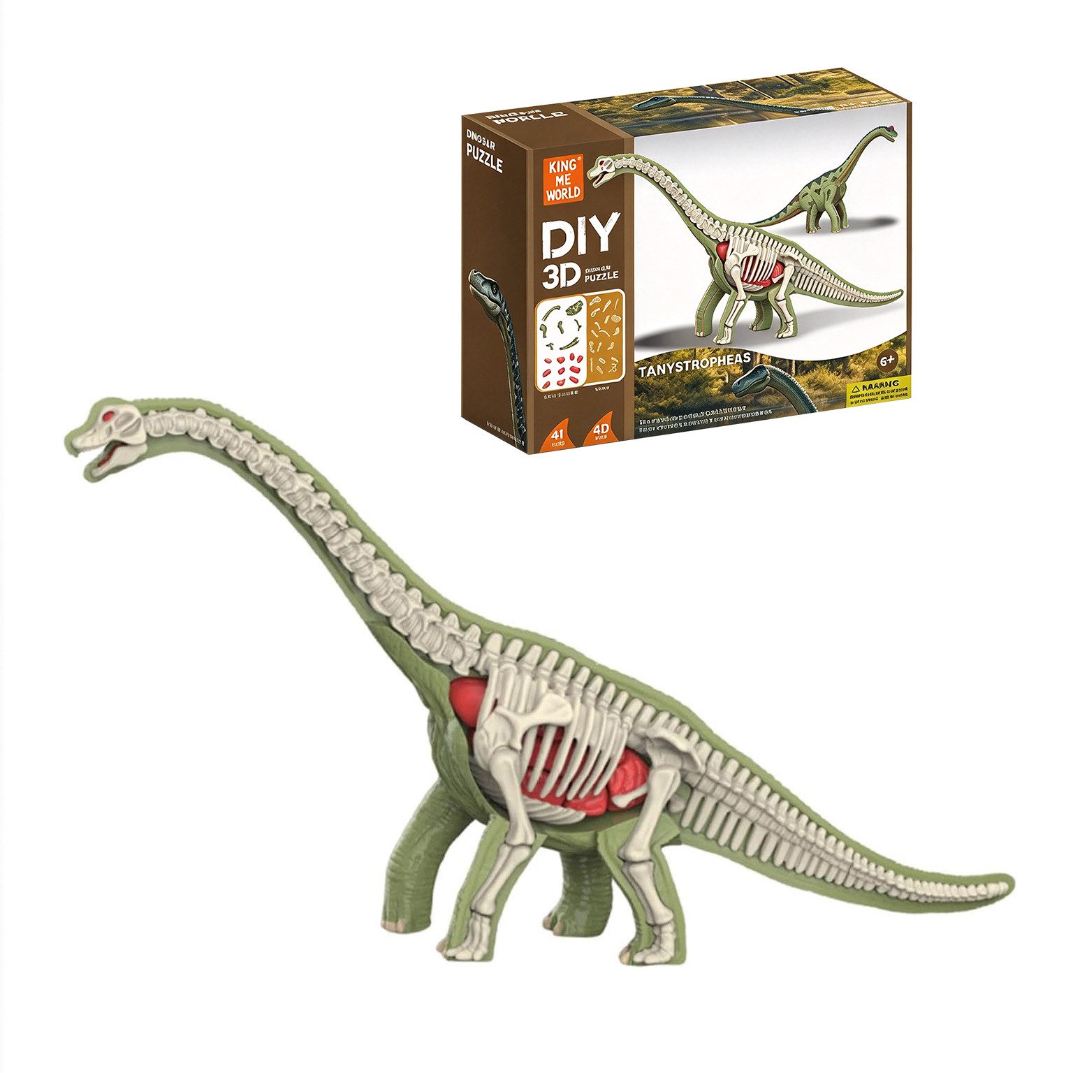 Esun 3D-Puzzle Dinosaurier Figuren 3D Puzzle – Dino Bausatz Skelett Anatomie, 41 Puzzleteile, Dino Spielzeug 41 Teile – Kinder ab 6 Jahren