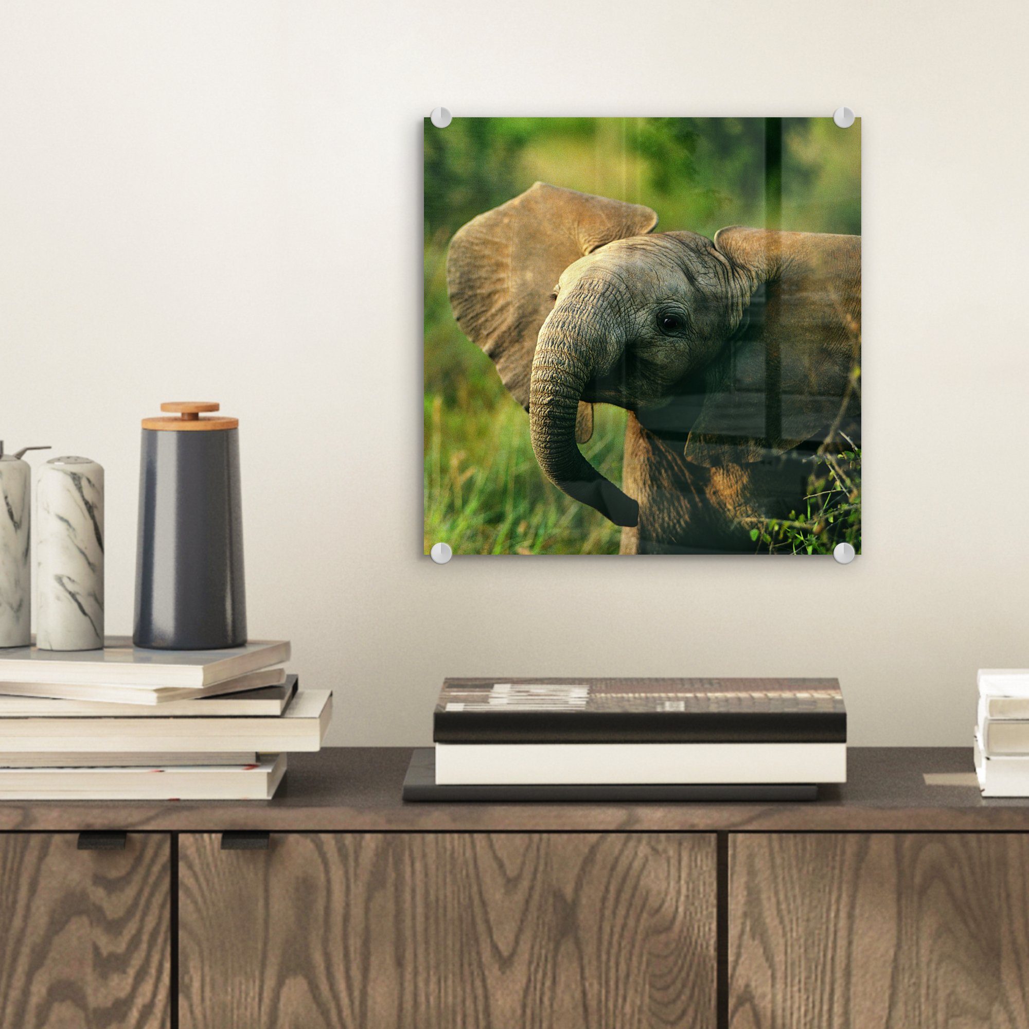 Acrylglasbild Bilder Tiere - - - Glas MuchoWow Wanddekoration Glasbilder - Elefant (1 Foto Wandbild - Grün auf Natur, St), Glas auf -