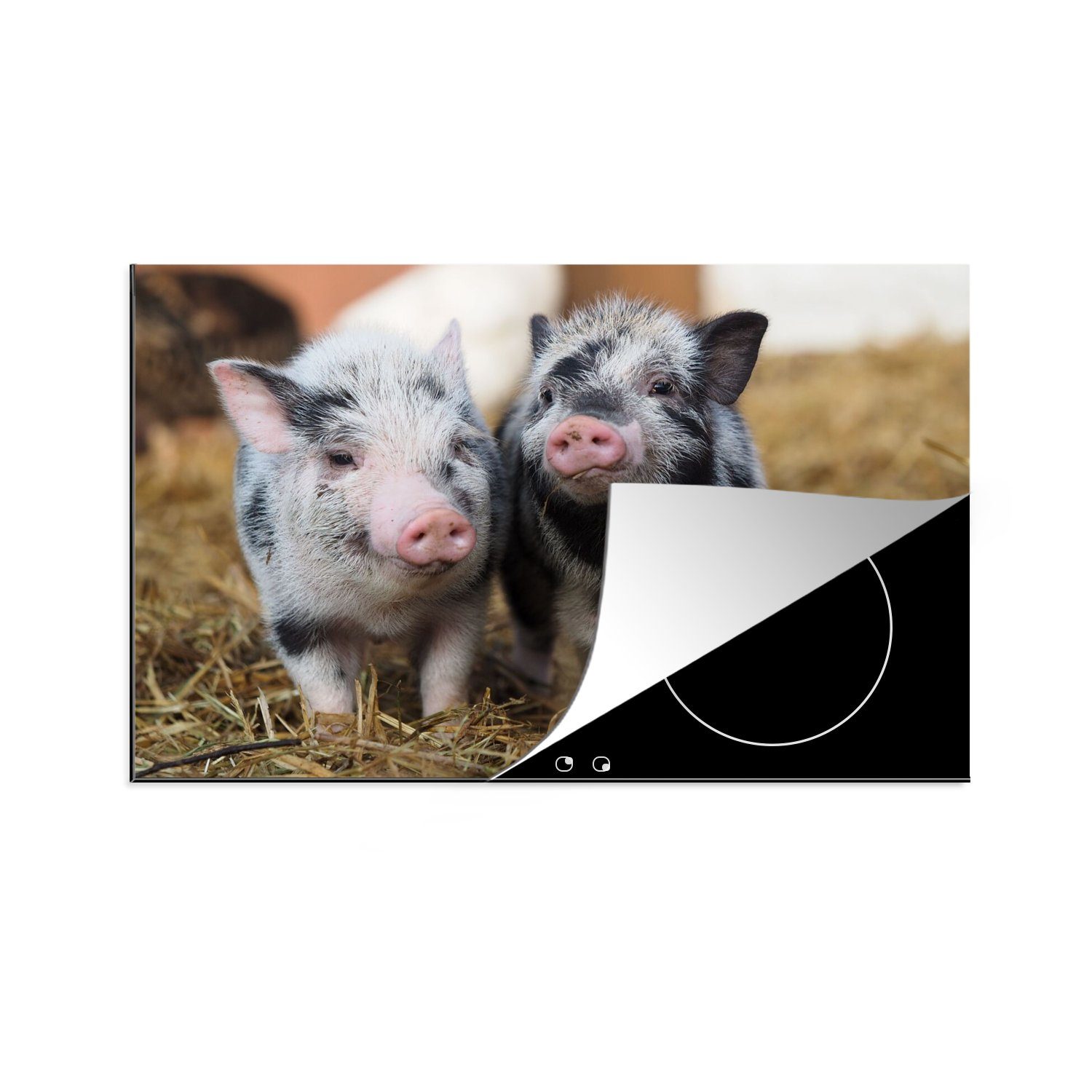 MuchoWow Herdblende-/Abdeckplatte Schwein - Tiere - Ferkel, Vinyl, (1 tlg), 80x52 cm, Induktionskochfeld Schutz für die küche, Ceranfeldabdeckung