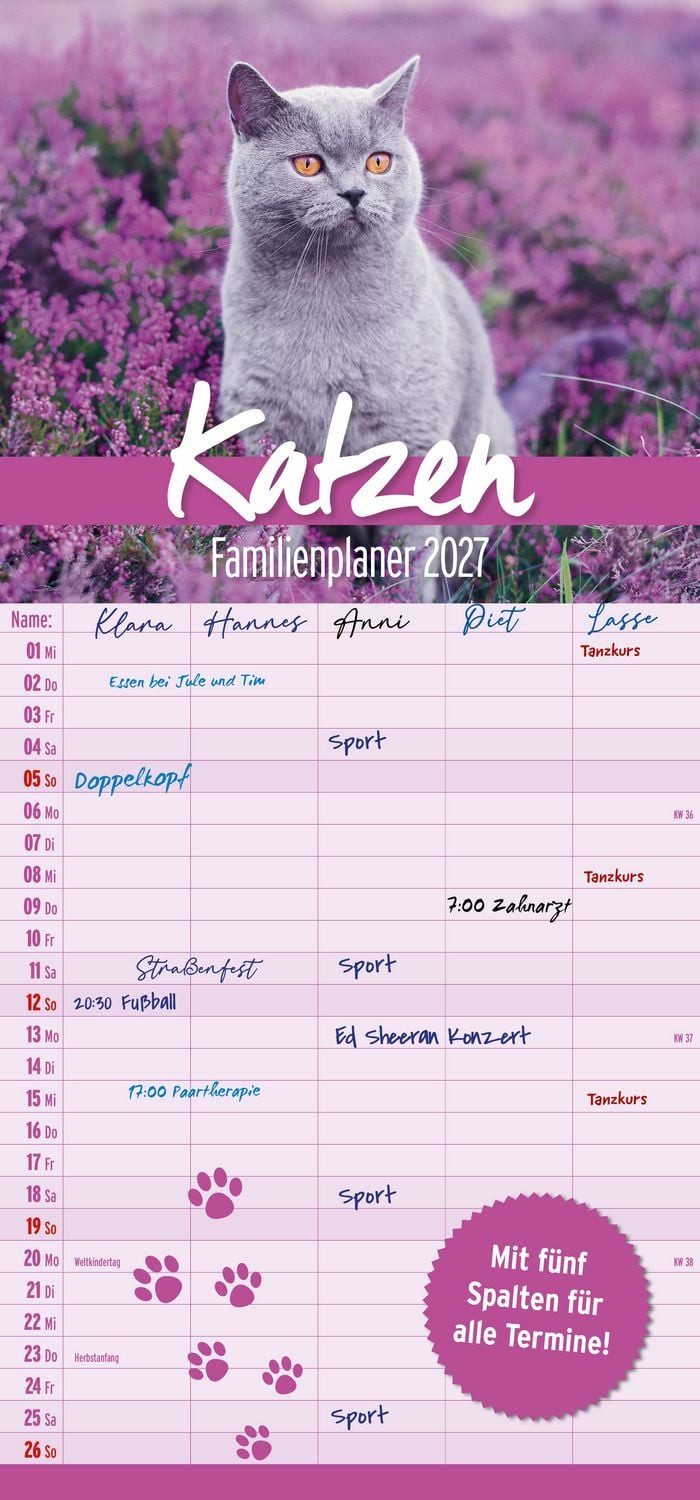 Familienkalender Katzen Familienplaner 2027
