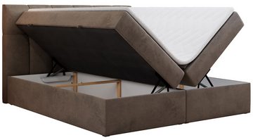 MKS MÖBEL Boxspringbett Rico, mit Bettkasten, Doppelbett mit Multipocket-Matratze und Topper