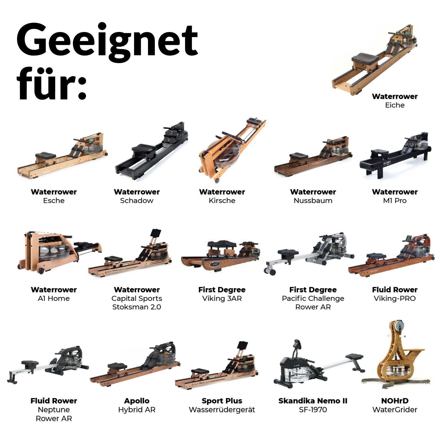 JB White Chlortabletten JB White Puritabs Sterinova 6x Rudergerät Wasser Tabletten je 25L, Für Waterrower, tötet Bakterien und Algen, entkeimt Trinkwasser