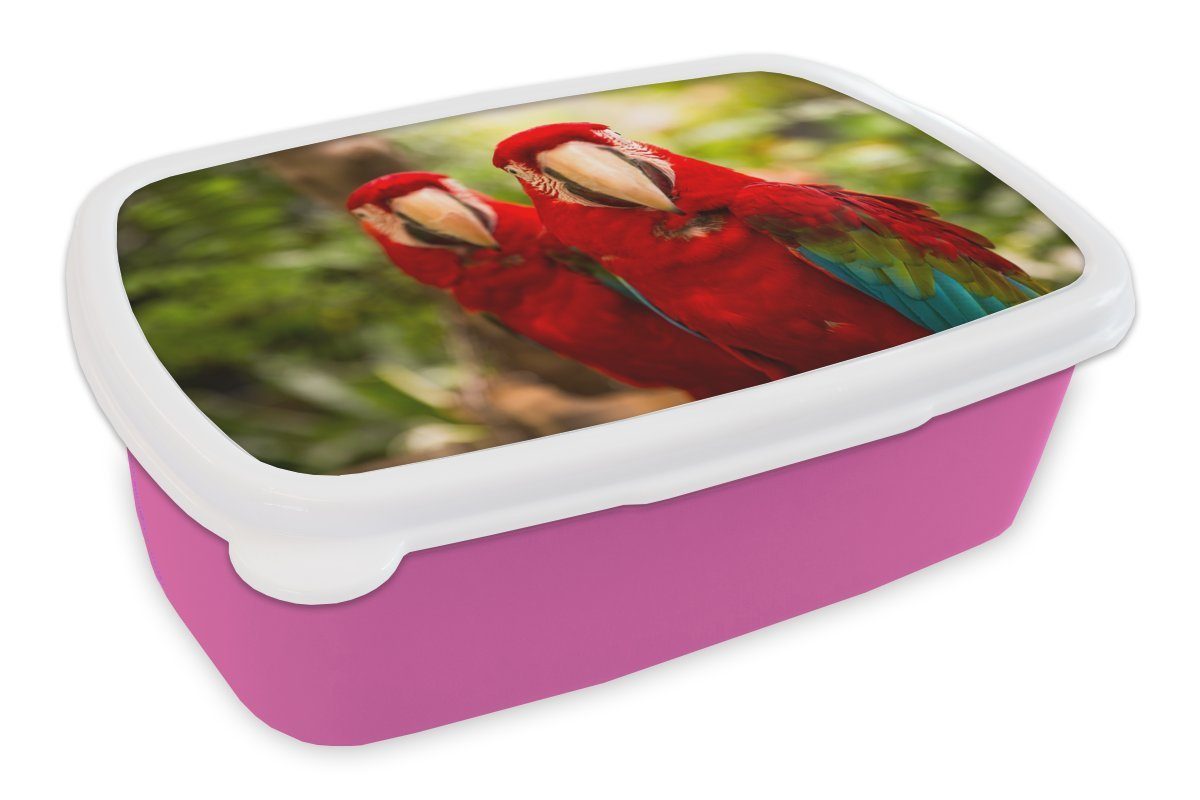 MuchoWow Lunchbox Papageien - Vögel - Dschungel, Kunststoff, (2-tlg), Brotbox für Erwachsene, Brotdose Kinder, Snackbox, Mädchen, Kunststoff rosa