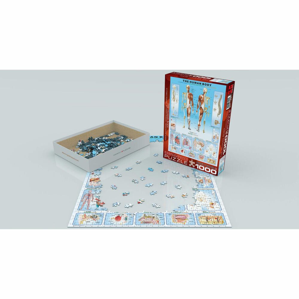 EUROGRAPHICS Puzzle Der menschliche Körper, 1000 Puzzleteile