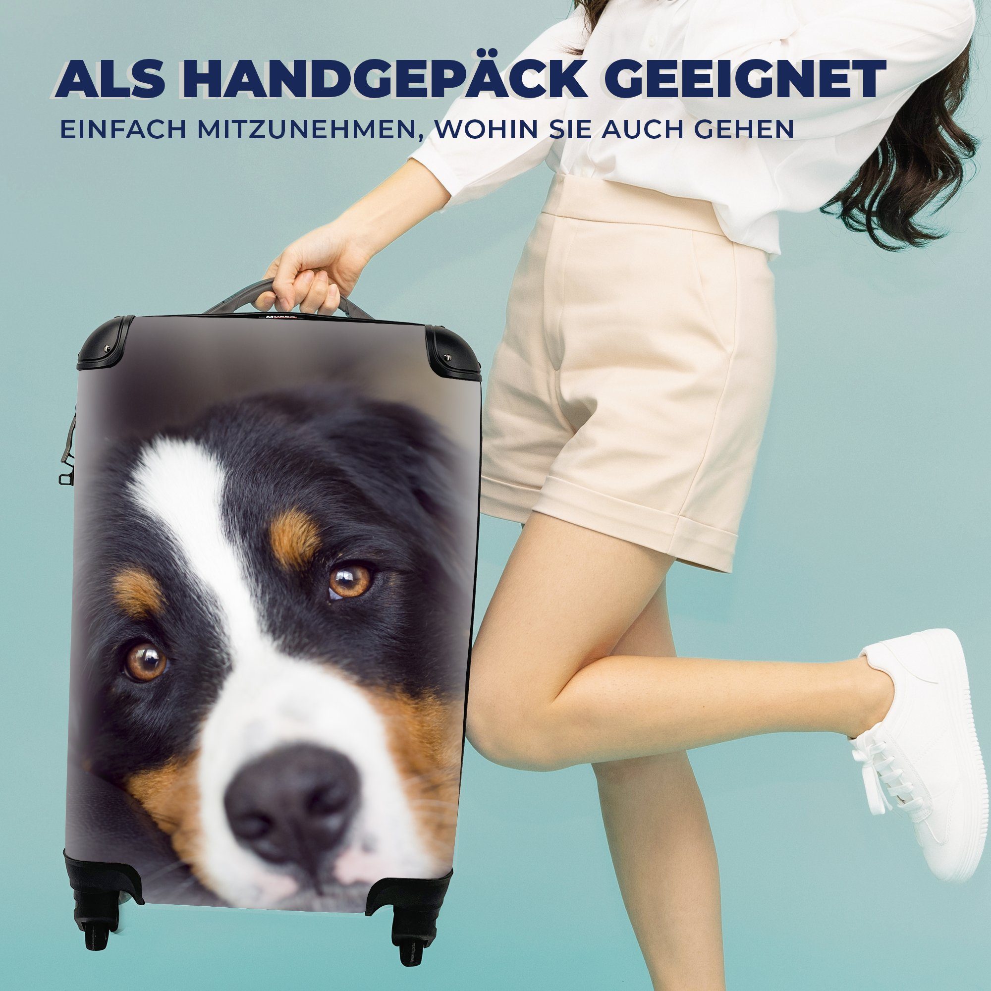 Reisekoffer Reisetasche Handgepäckkoffer auf Berner Trolley, MuchoWow Ferien, 4 mit Rollen, Handgepäck dem Ein rollen, für Sennenhund Sofa, liegt