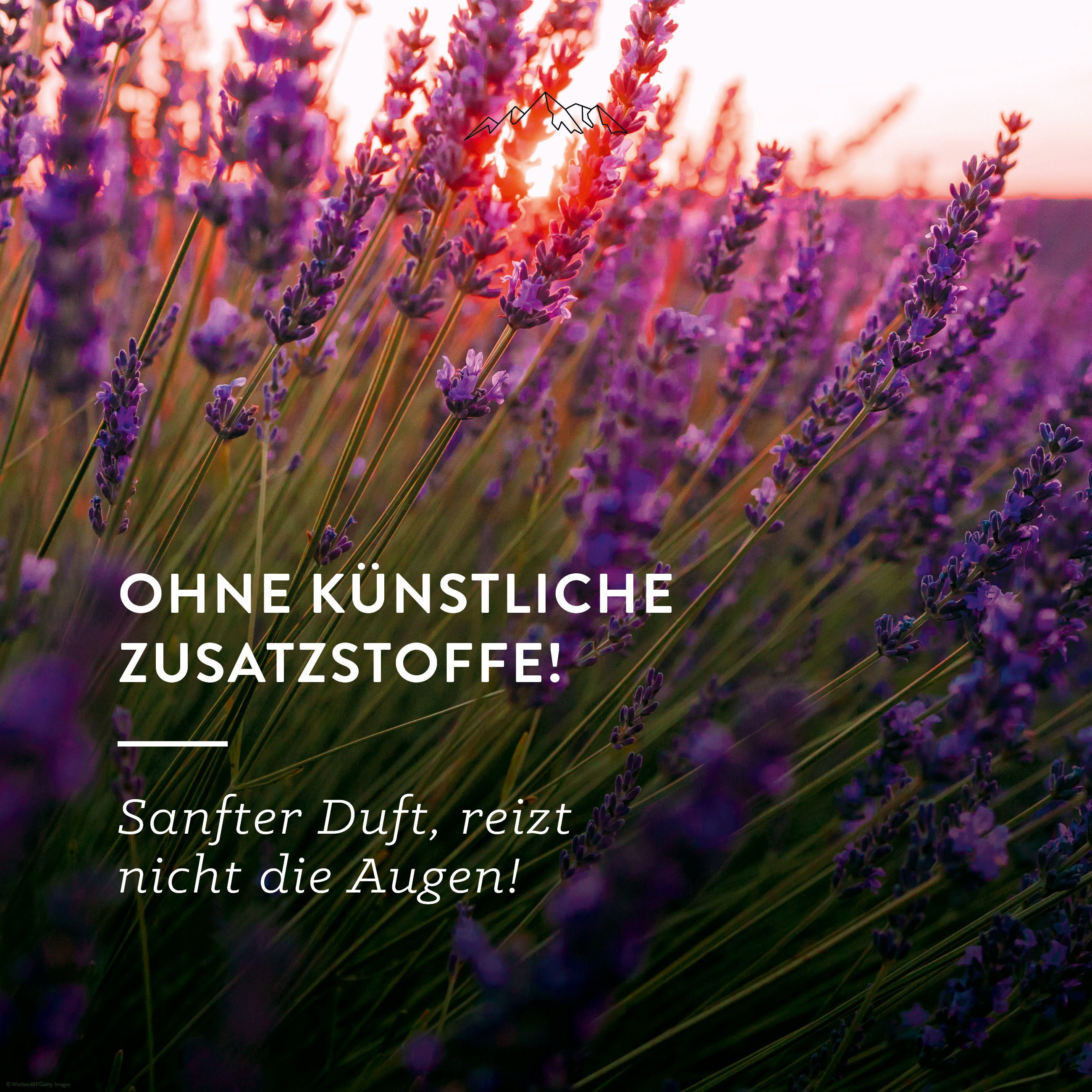 Gelassenheit Auto x Duftspray und (1 Raumduft Allgäuquelle Lavendel, Eukalyptus 100ml), Allgäuer Bio Alpenzirbe