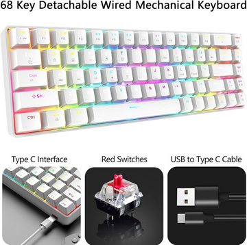 ZIYOU LANG RGB-LED-Hintergrundbeleuchtung Tastatur- und Maus-Set, ProfessionelleMechanik,individuelle Mausbeleuchtung Komfort Funktionen