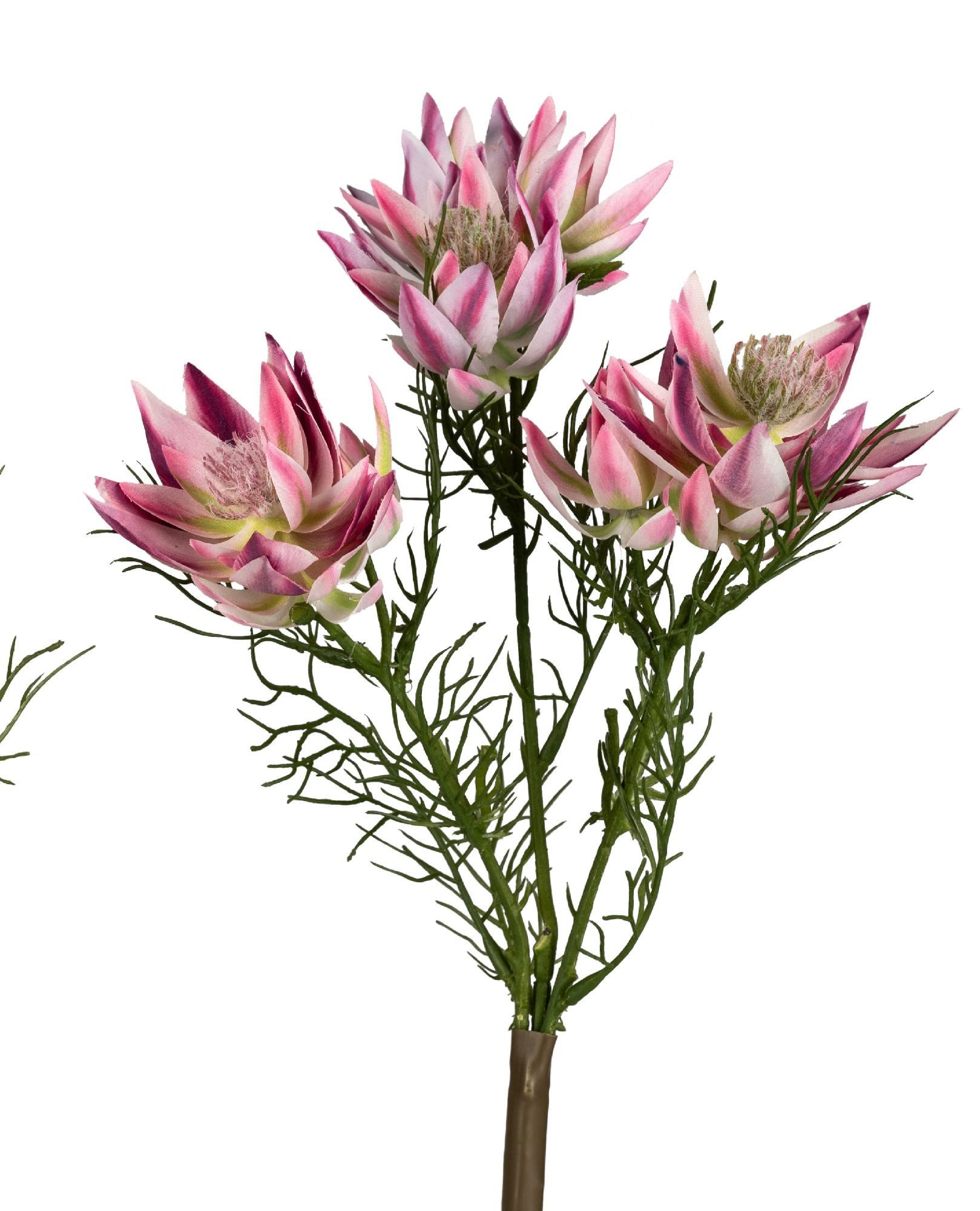 Kunstblume Frühlingszeit, formano, Höhe 34 cm, Farbe: Pink, Motiv: Distel