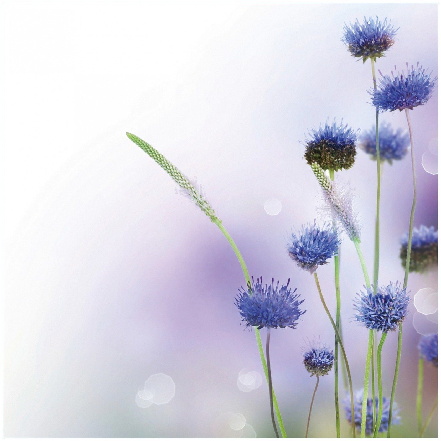 Wallario Memoboard Abstrakte lila Blume