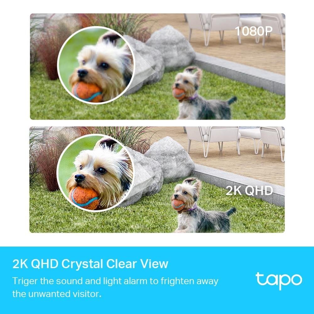 tp-link Überwachungskamera Tapo C420S2 Sicherheitskamerasystem mit 2 Kameras (Außenbereich, Innenbereich, mit 2 Kameras 2K QHD 1080p mit KI-Erkennung)