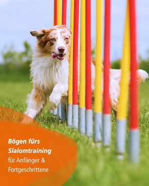 Superhund Agility-Slalom Trainingsbogen für Agility-Training 10er Set für Stangen mit ø 32 mm, Aluminium