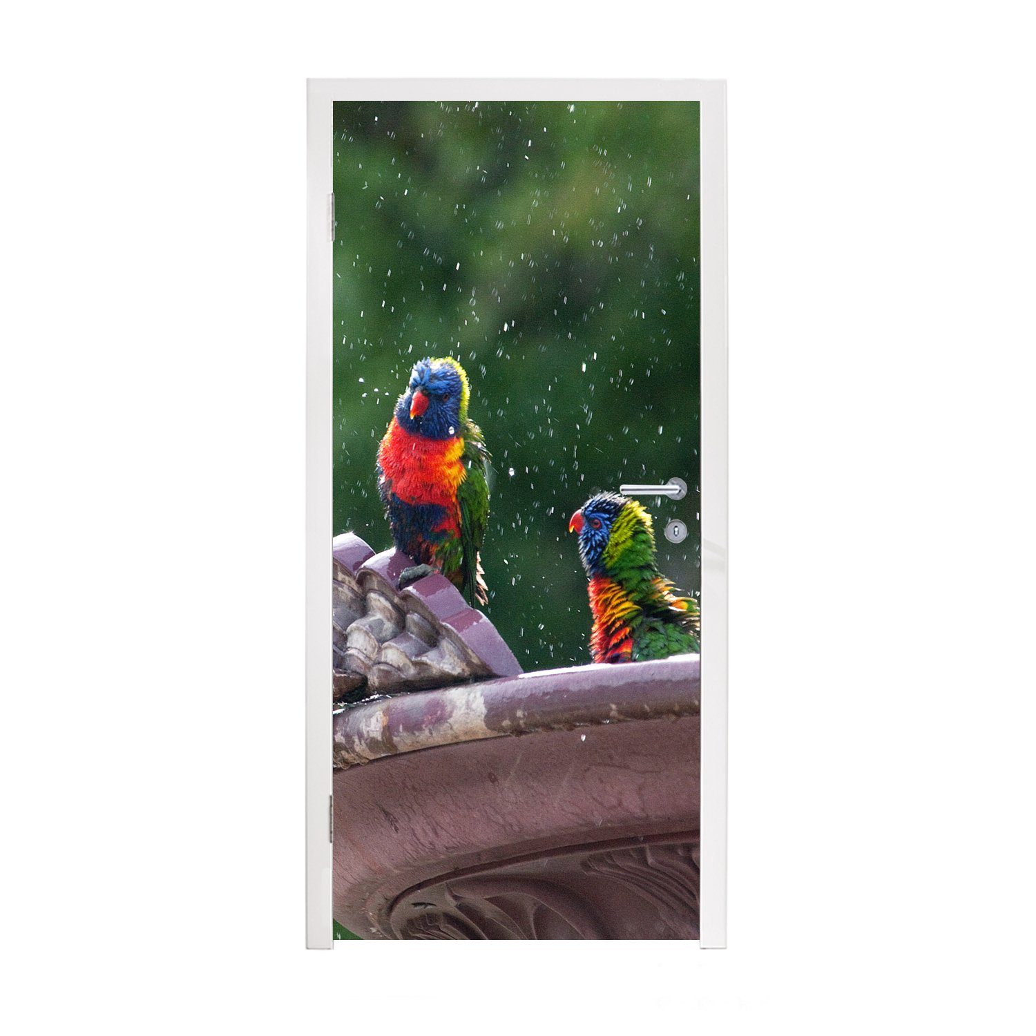 MuchoWow Türtapete Springbrunnen - Vogel - Wasser, Matt, bedruckt, (1 St), Fototapete für Tür, Türaufkleber, 75x205 cm