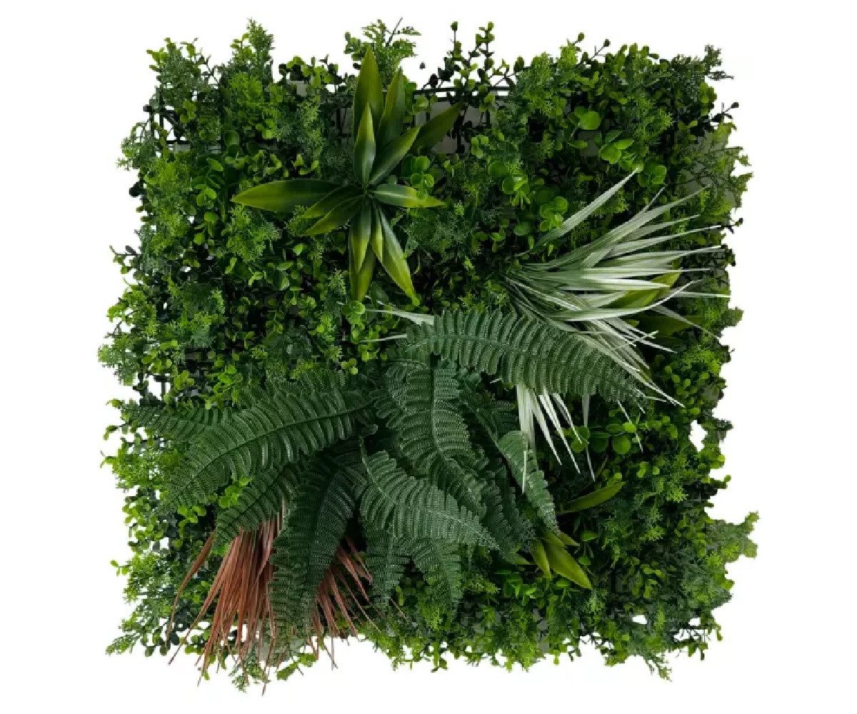 ASCountrystone Wandpaneel Wandgrün Kunsthecke, BxL: 50,00x50,00 cm, 0,25 qm günstig online kaufen