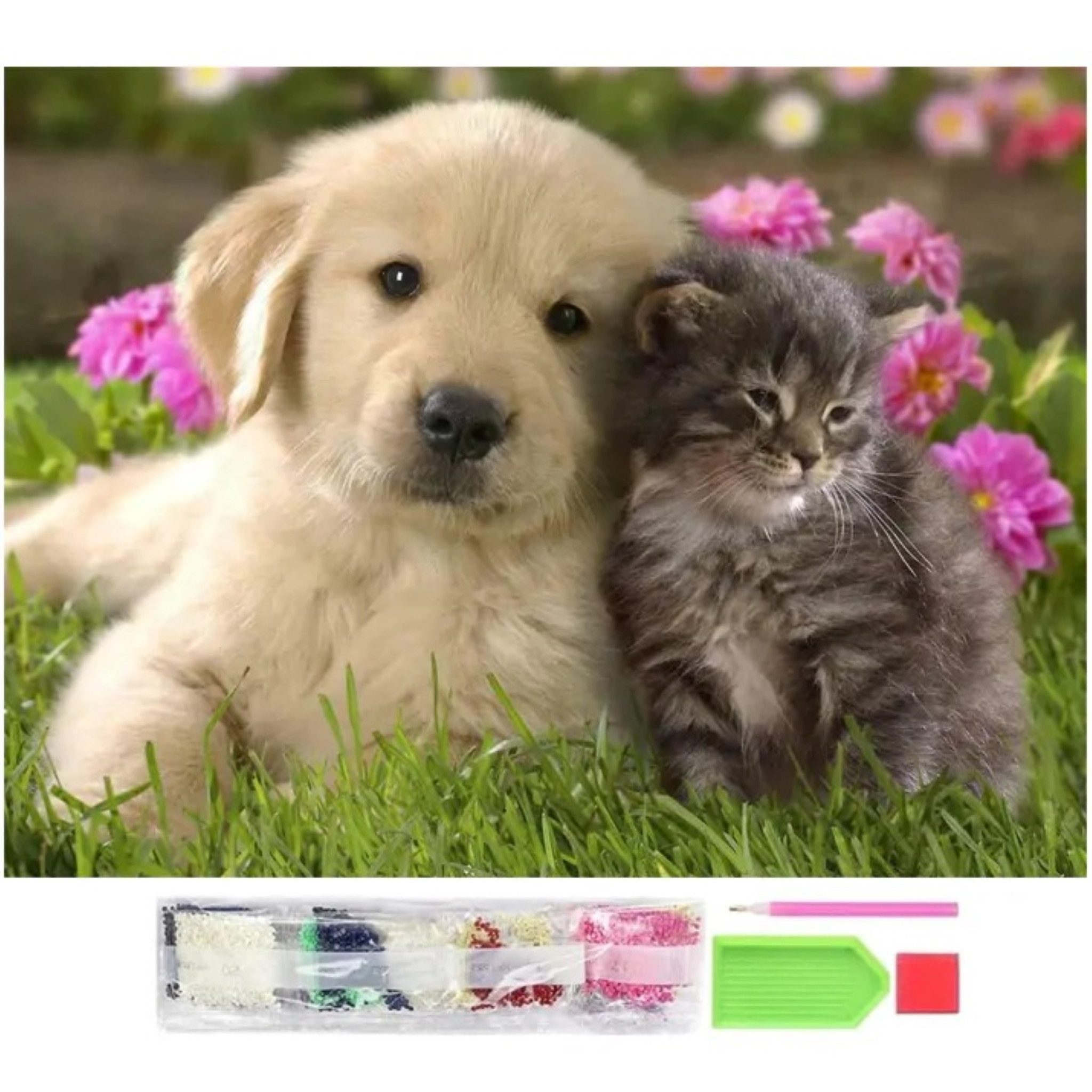 LA CUTE Malen nach Zahlen 5d Diamant Mosaik Stickerei 5D Katze Hund 30x40cm günstig online kaufen