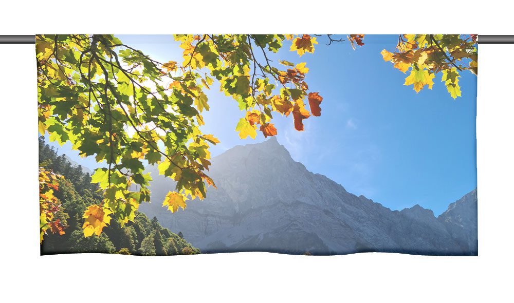 gardinen-for-life Scheibengardine Der herbst beginnt Cafehausgardine 25 cm hoch - mit tollem Motiv