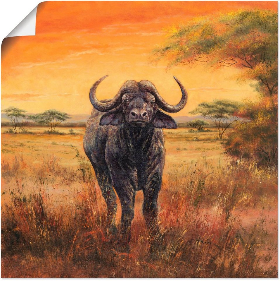Artland Wandbild Büffel, Wildtiere (1 St), als Alubild, Leinwandbild,  Wandaufkleber oder Poster in versch. Größen, Direktdruck in optimaler  Auflösung