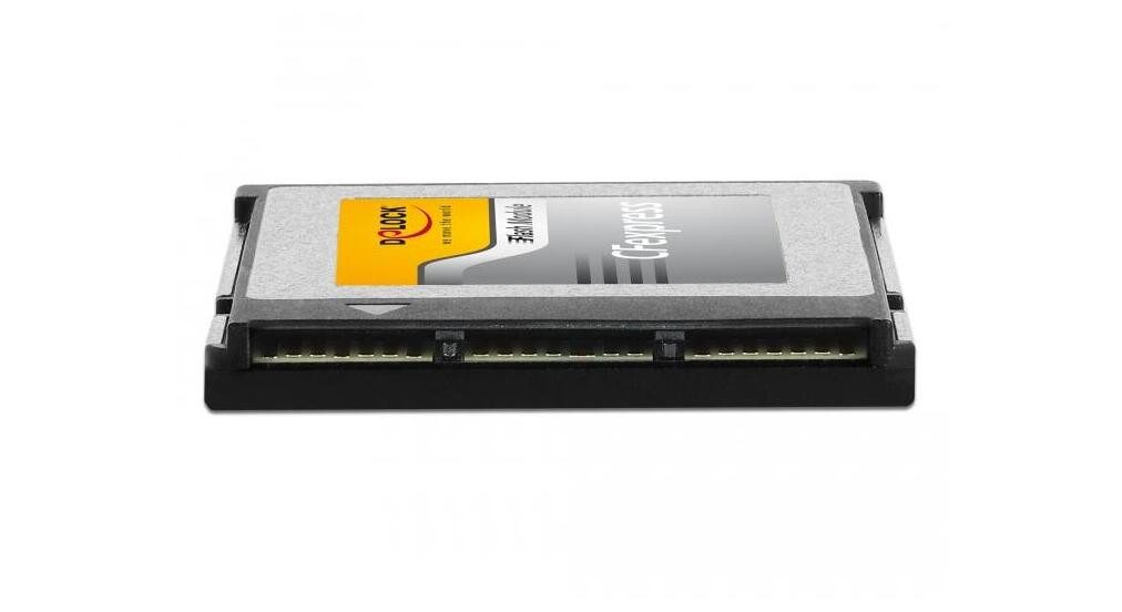 DeLOCK CFexpress Speicherkarte 256 GB Speicherkarte