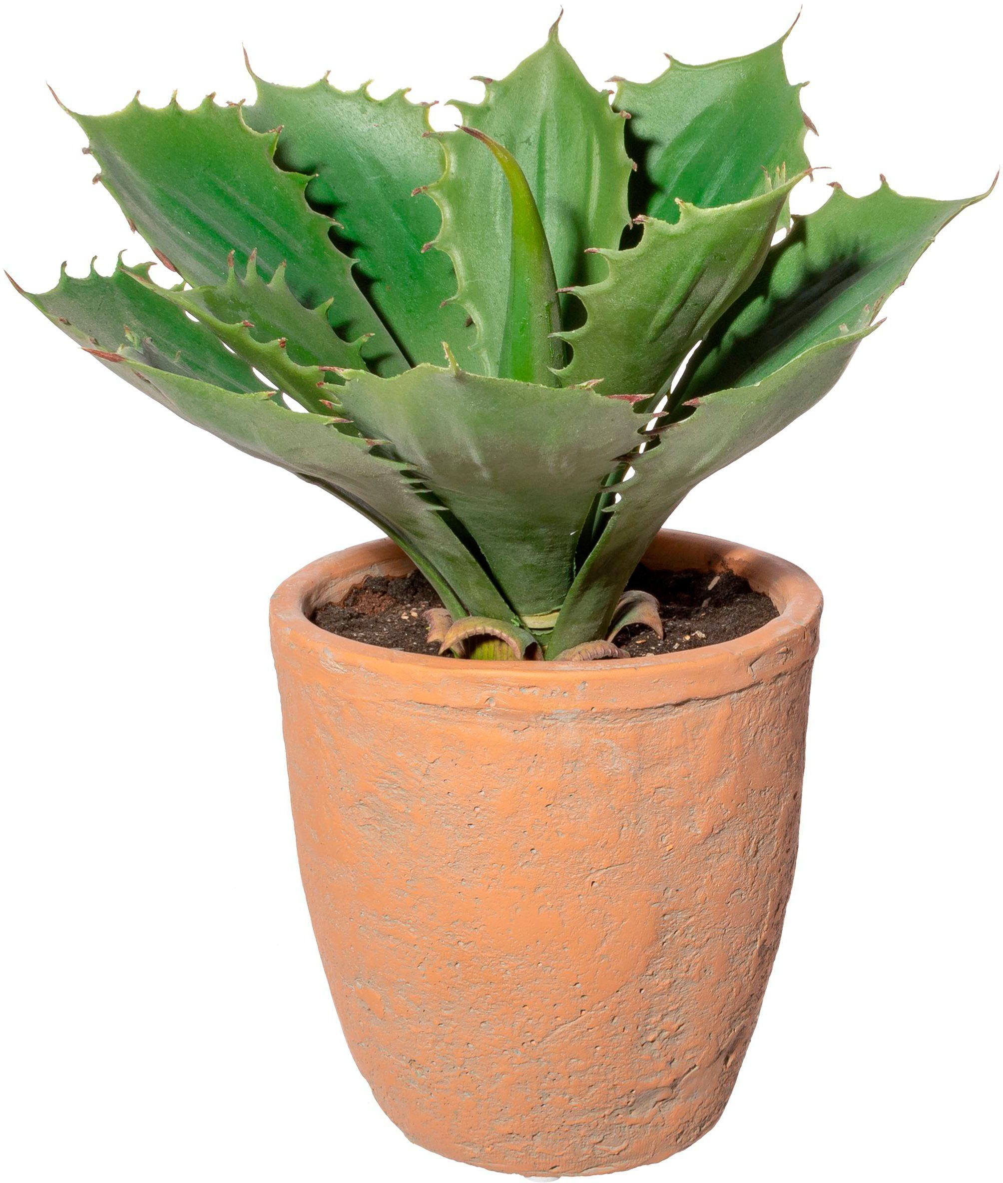 Künstliche Zimmerpflanze Echeveria im Terracottatopf