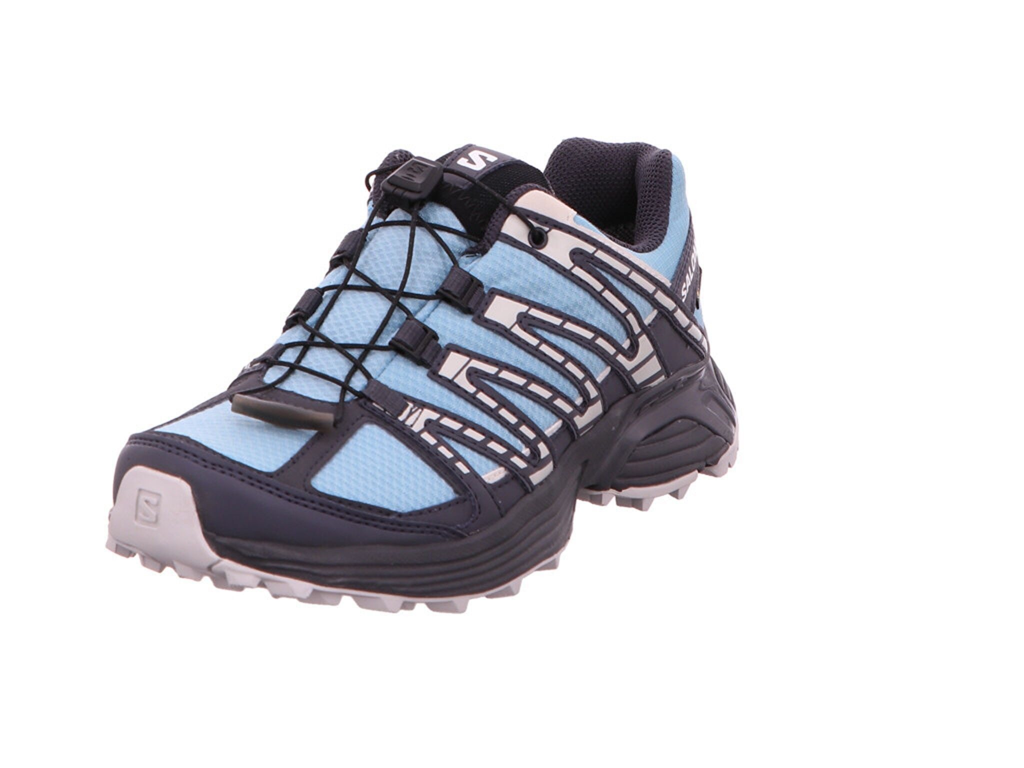 Salomon XT RECKON GTX Outdoorschuh günstig online kaufen