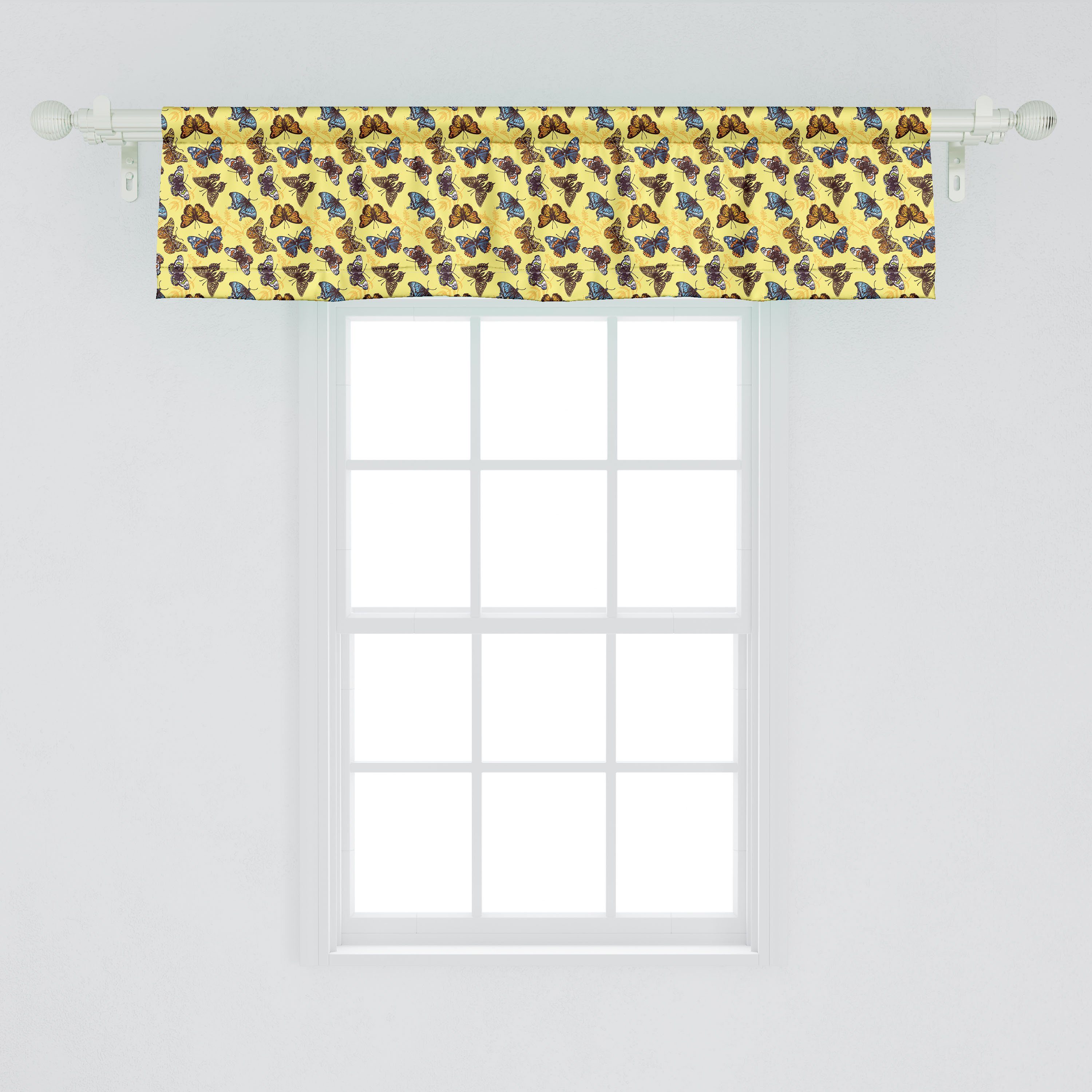 Scheibengardine Vorhang Volant Microfaser, Schmetterlinge Küche Entomologie für Dekor Stangentasche, Abakuhaus, Schlafzimmer mit detaillierte