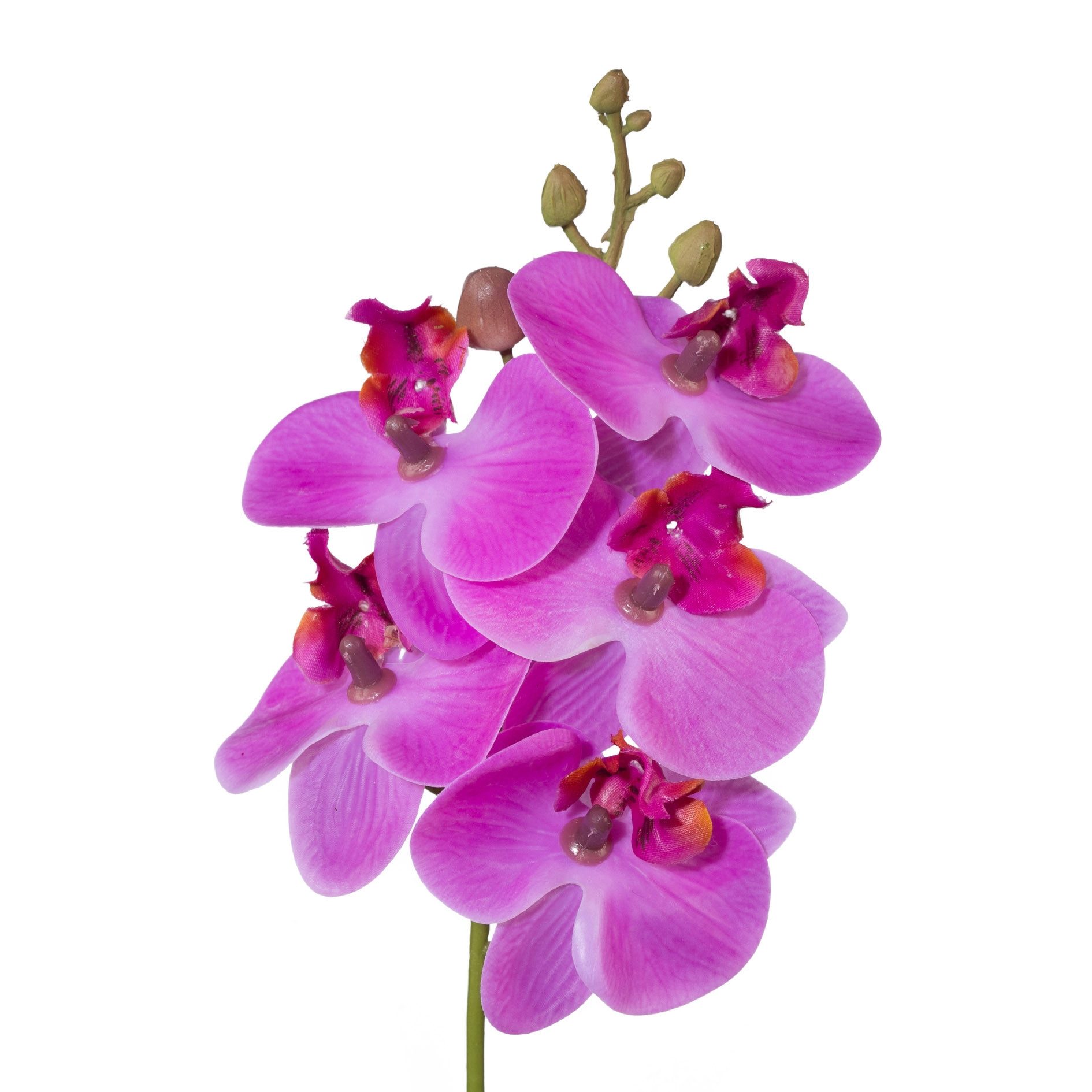 Kunstorchidee Kunstblume Phalaenopsis, Orchideenzweig 27cm Real Touch, Gasper