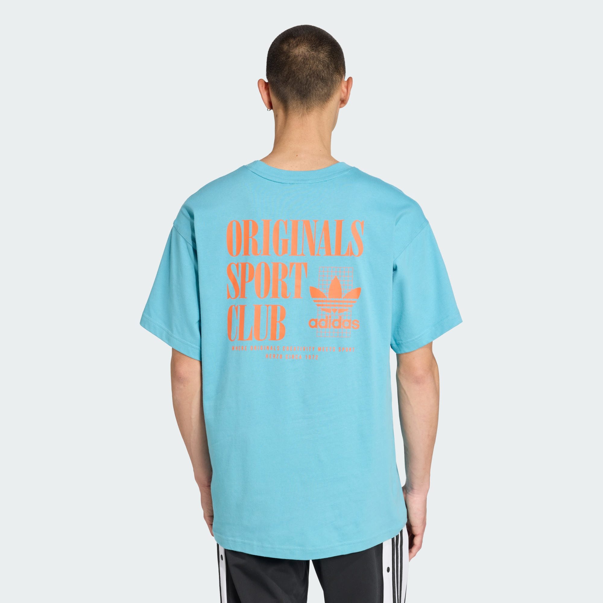 adidas Originals T-Shirt SPORT CLUB GFX günstig online kaufen