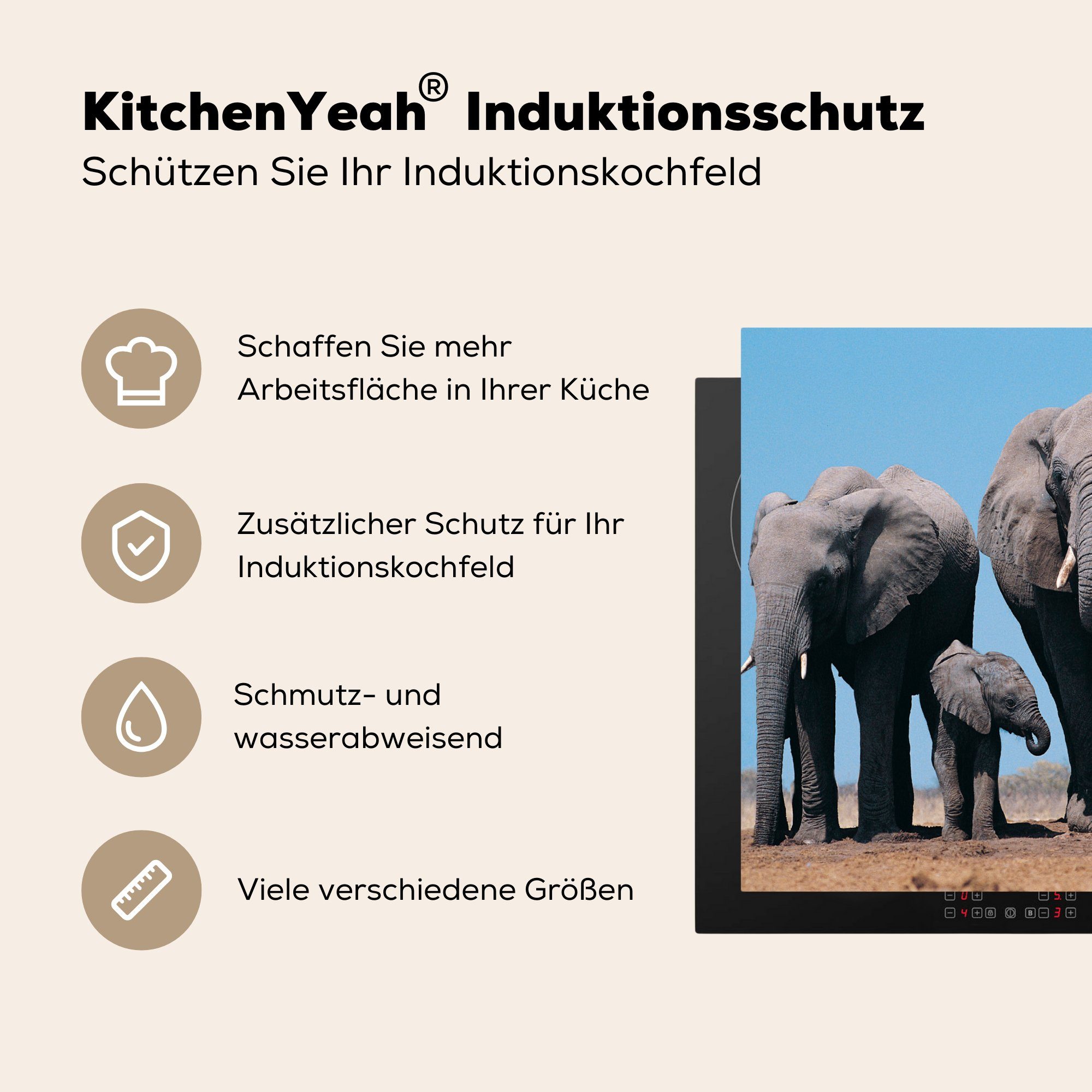 die - Prärie Natur, Elefant cm, Vinyl, Herdblende-/Abdeckplatte für 59x52 (1 - Induktionsmatte küche, tlg), MuchoWow Tiere - Ceranfeldabdeckung