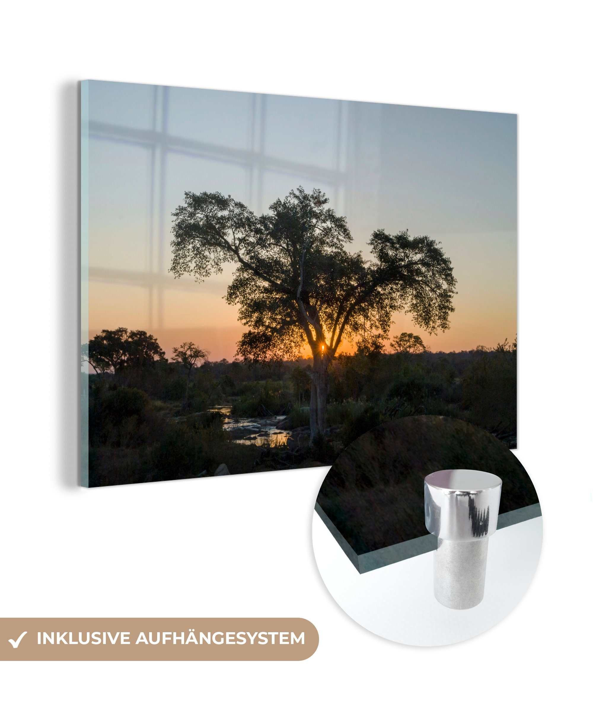 MuchoWow Park Schlafzimmer Kruger & Südafrika, Acrylglasbild Acrylglasbilder in (1 St), am Wohnzimmer Abend