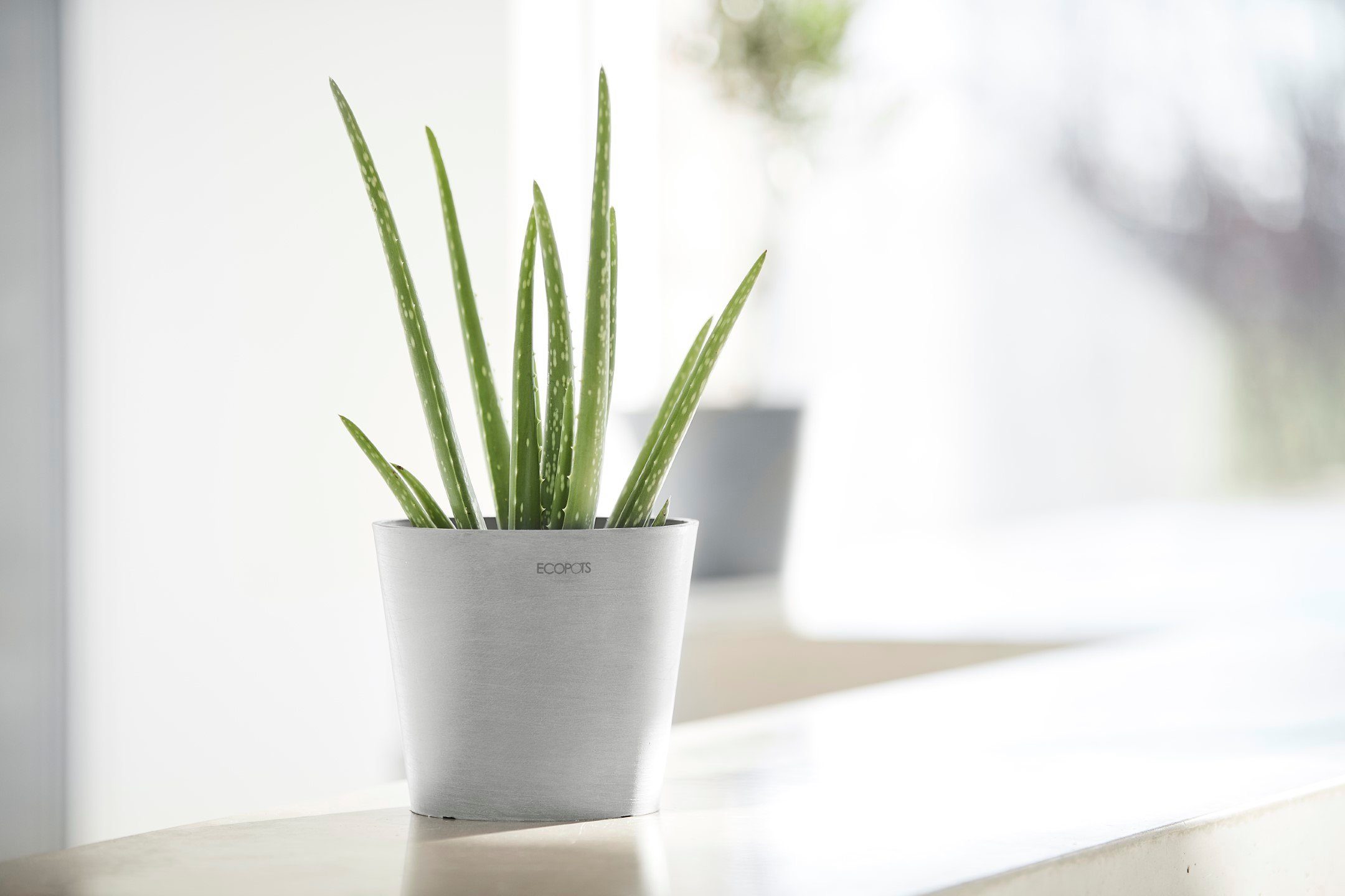 Ecopots Pflanztopf Amsterdam Mini Weißgrau 17 cm günstig online kaufen