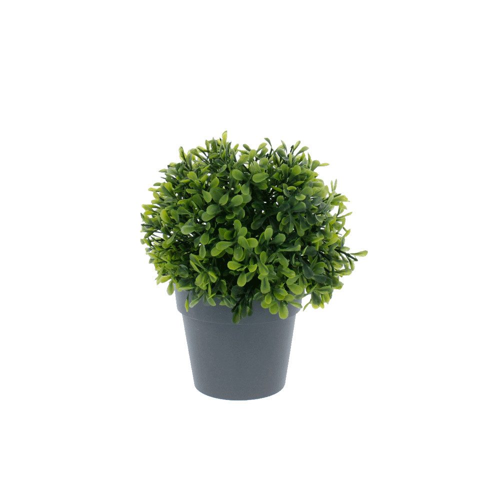 Kunstblume Buchsbaum im Topf - ca. 14 x 14 x 20 cm -1 Stück, MICA, Höhe 20 cm