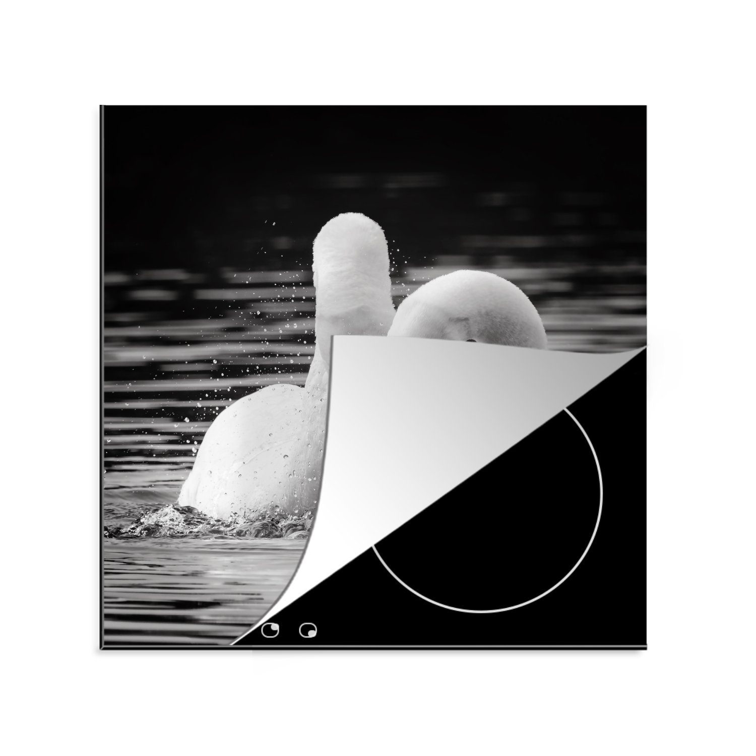 MuchoWow Herdblende-/Abdeckplatte Zwei weiße Schwäne im Kampf, Vinyl, (1 tlg), 78x78 cm, Ceranfeldabdeckung, Arbeitsplatte für küche