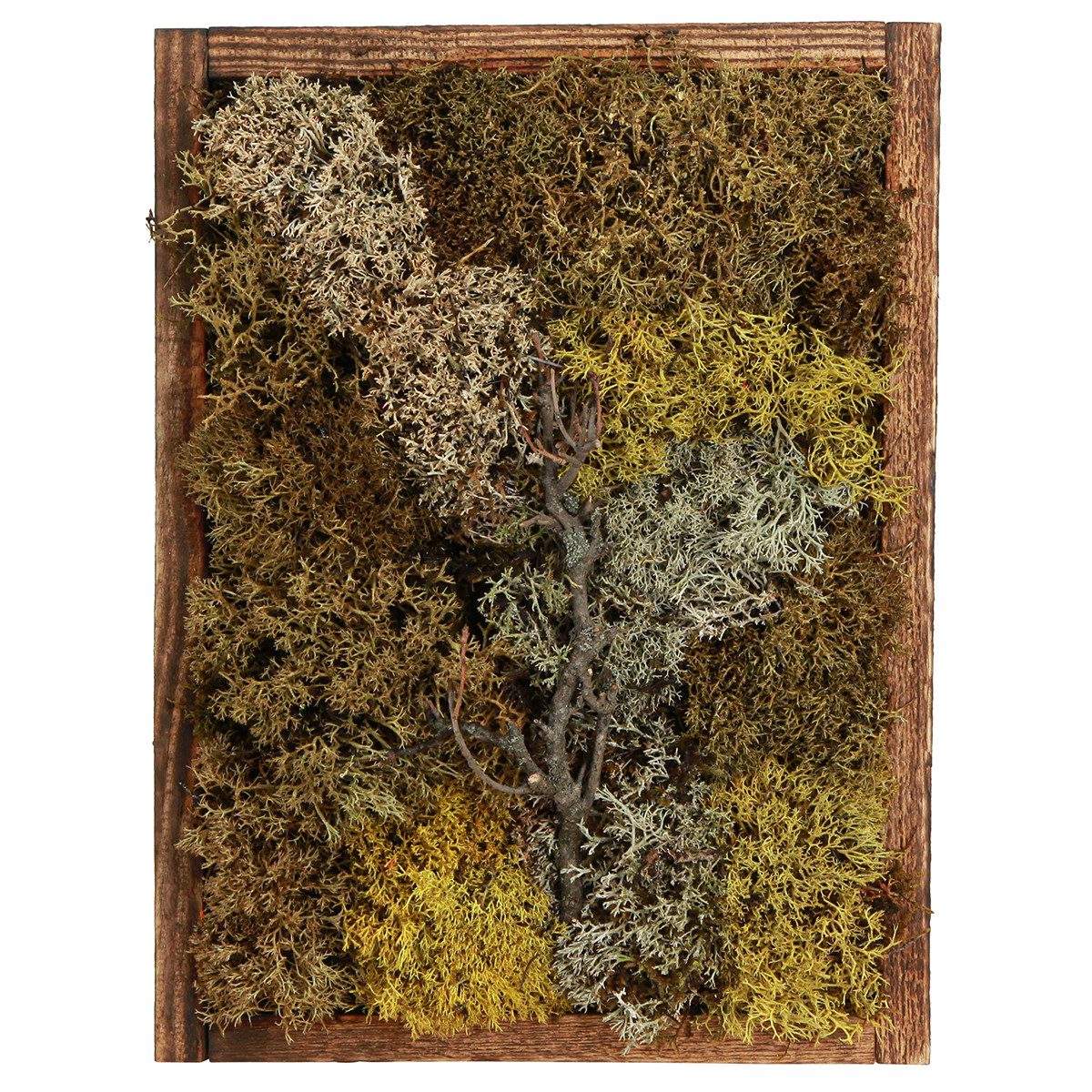 Viana Bastelmoos Moosbild 40x30 cm Echtes Konserviertes Moos Wandbild Naturdeko