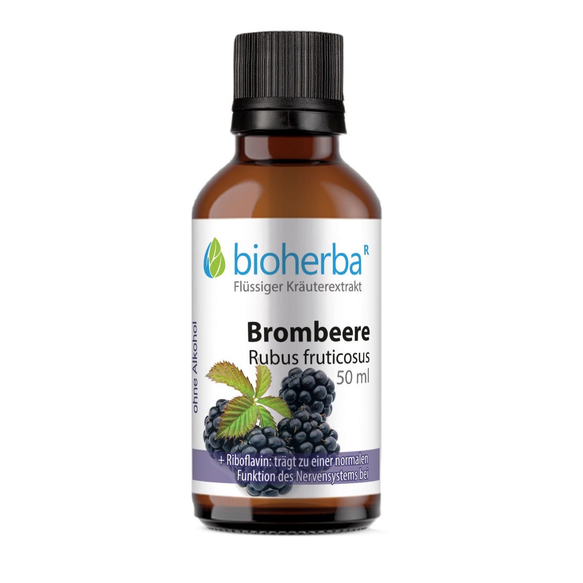 BIOHERBA R Brombeere Rubus fruticosus Tropfen Tinktur 50 ml Nahrungsergänzungsmittel