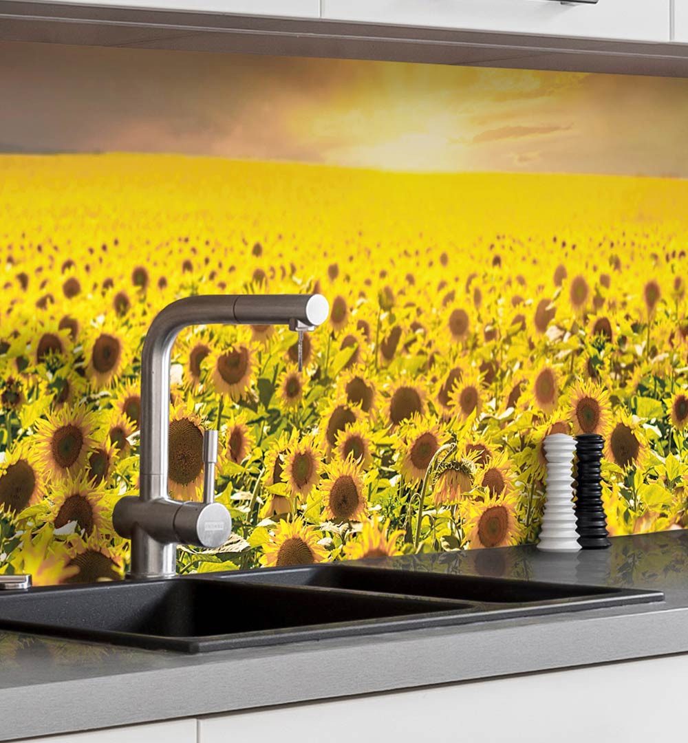 MyMaxxi Küchenrückwand Küchenrückwand selbstklebend Feld aus Sonnenblumen Spritzschutz Folie, (Klebefolie Küchenrückwand aufgerollt B 60 cm x H 60 cm), Yellow Flower B 60 cm x H 60 cm