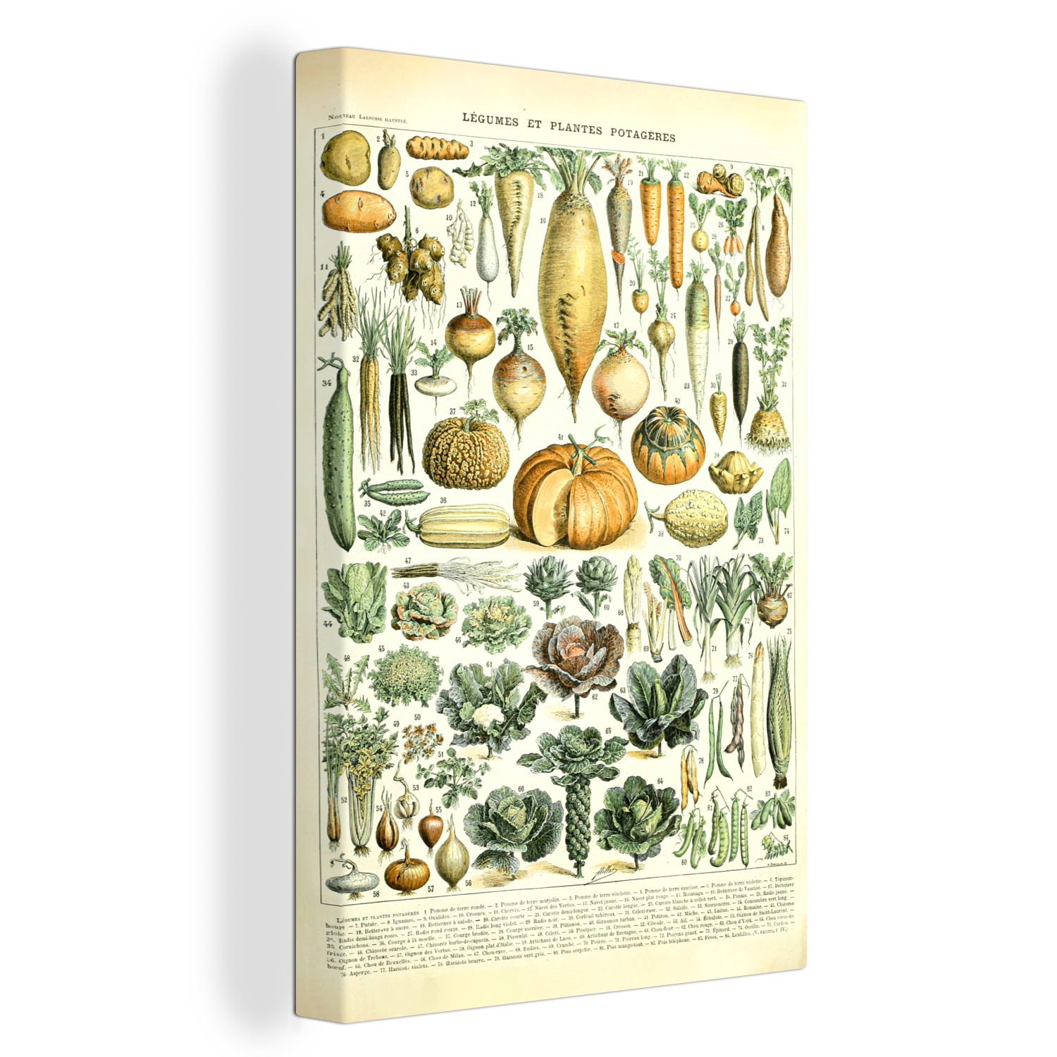 Vintage - - St), Orange, Gemälde, - - Millot bespannt cm 20x30 - Kunst Adolphe Leinwandbild Zackenaufhänger, fertig (1 Karotte OneMillionCanvasses® inkl. Leinwandbild Gemüse