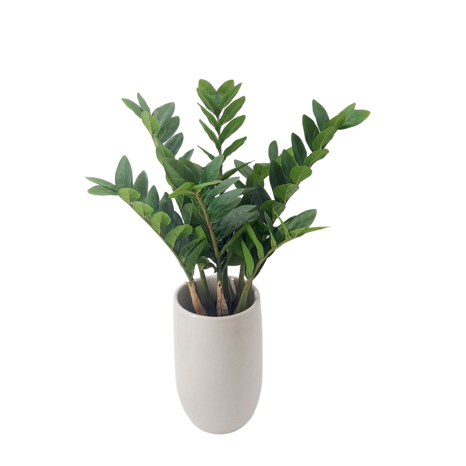 CreaFlor Home Bodenvase Lugo, Farbe: Weiß, Höhe: 30cm