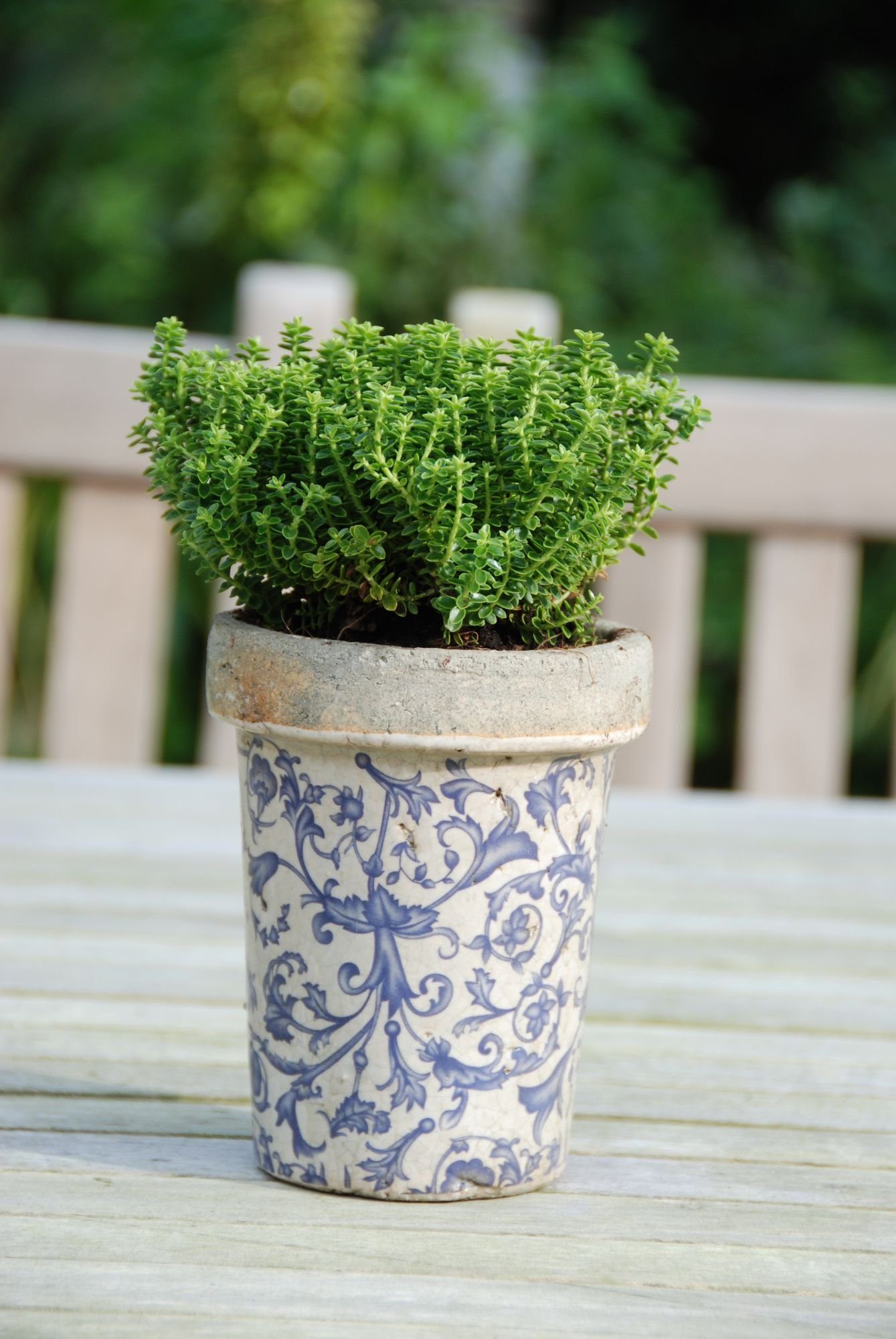 esschert design Blumentopf (Set, 1 St), günstig online kaufen